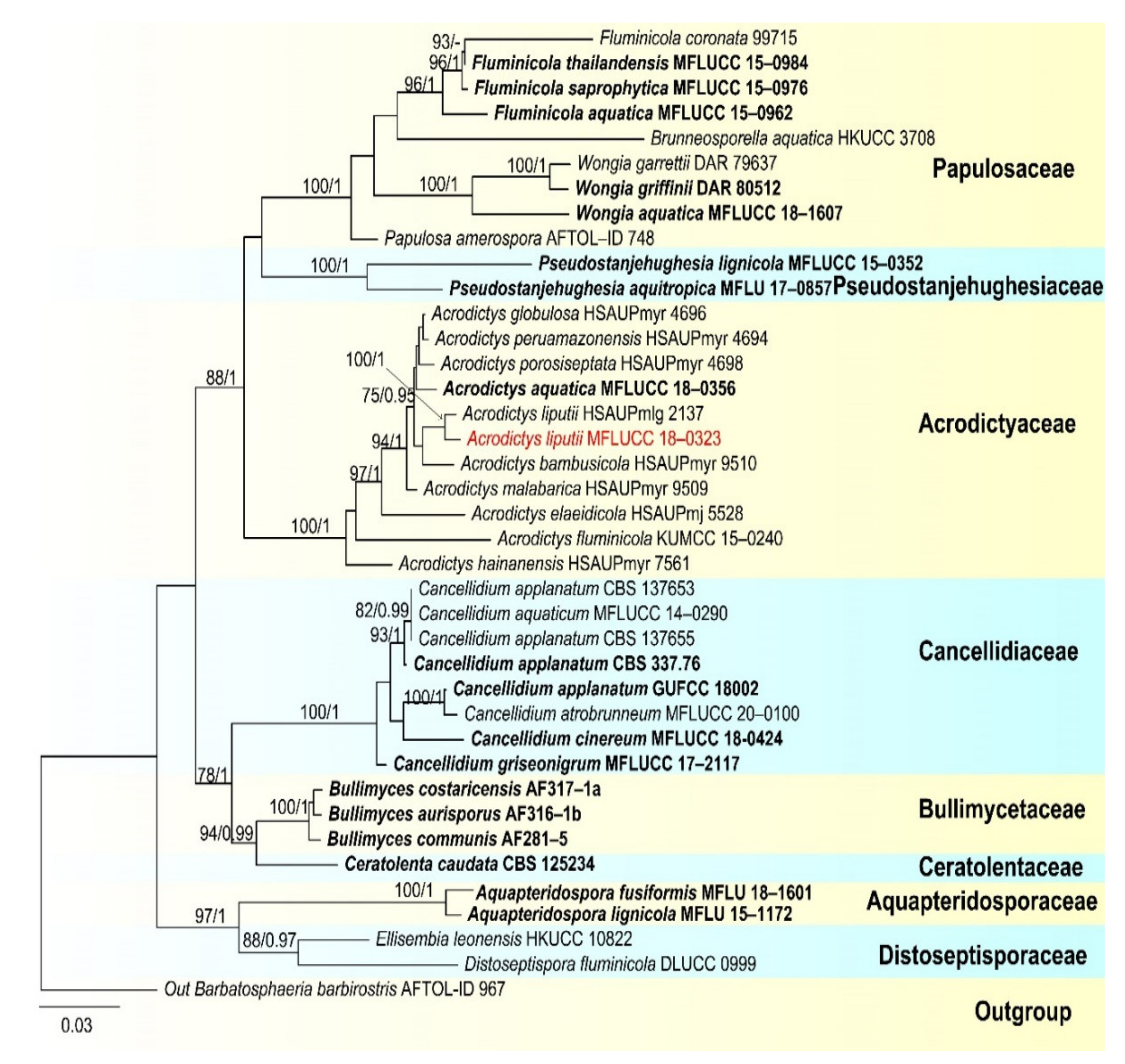 Jof 07 00669 g018 Jof 07 00669 g018