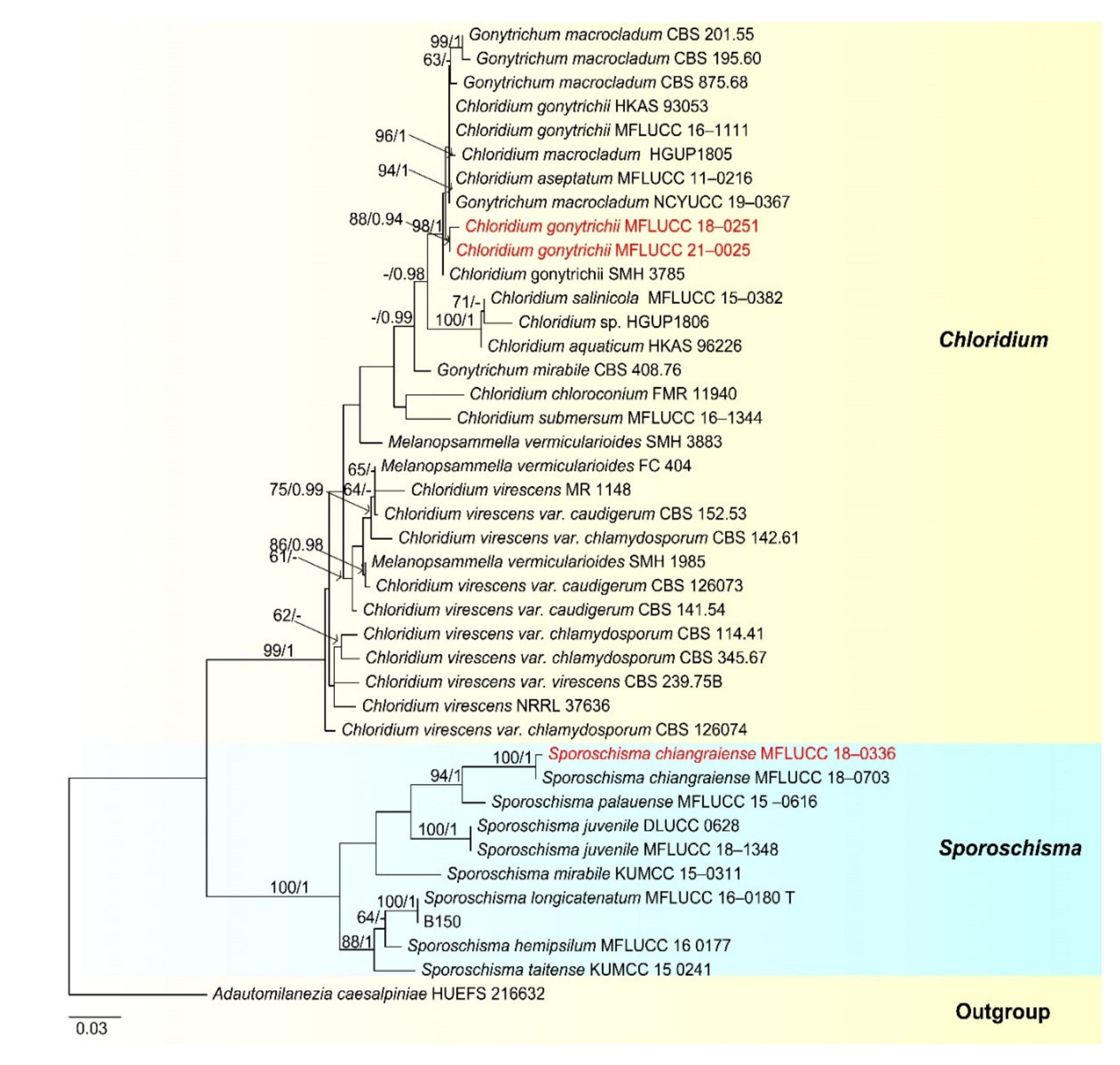 Jof 07 00669 g020 Jof 07 00669 g020