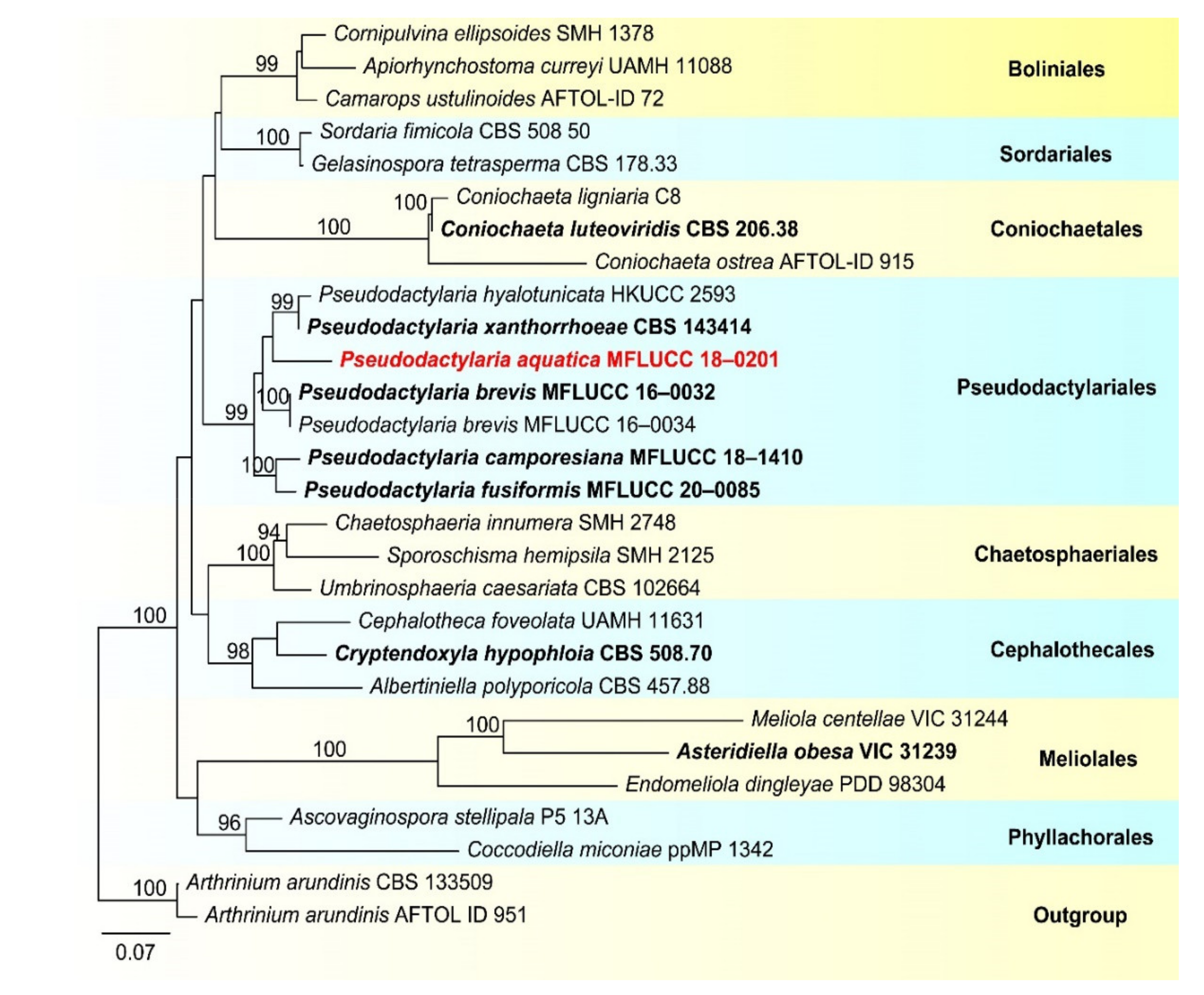 Jof 07 00669 g024 Jof 07 00669 g024
