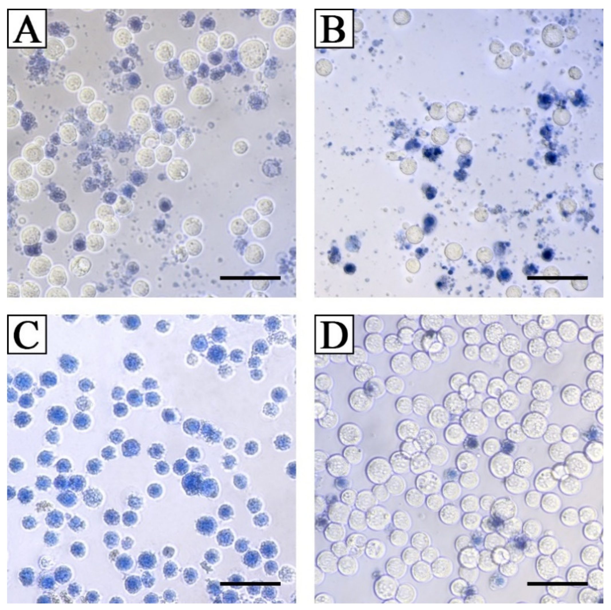 Jof 07 00774 g012 Jof 07 00774 g012