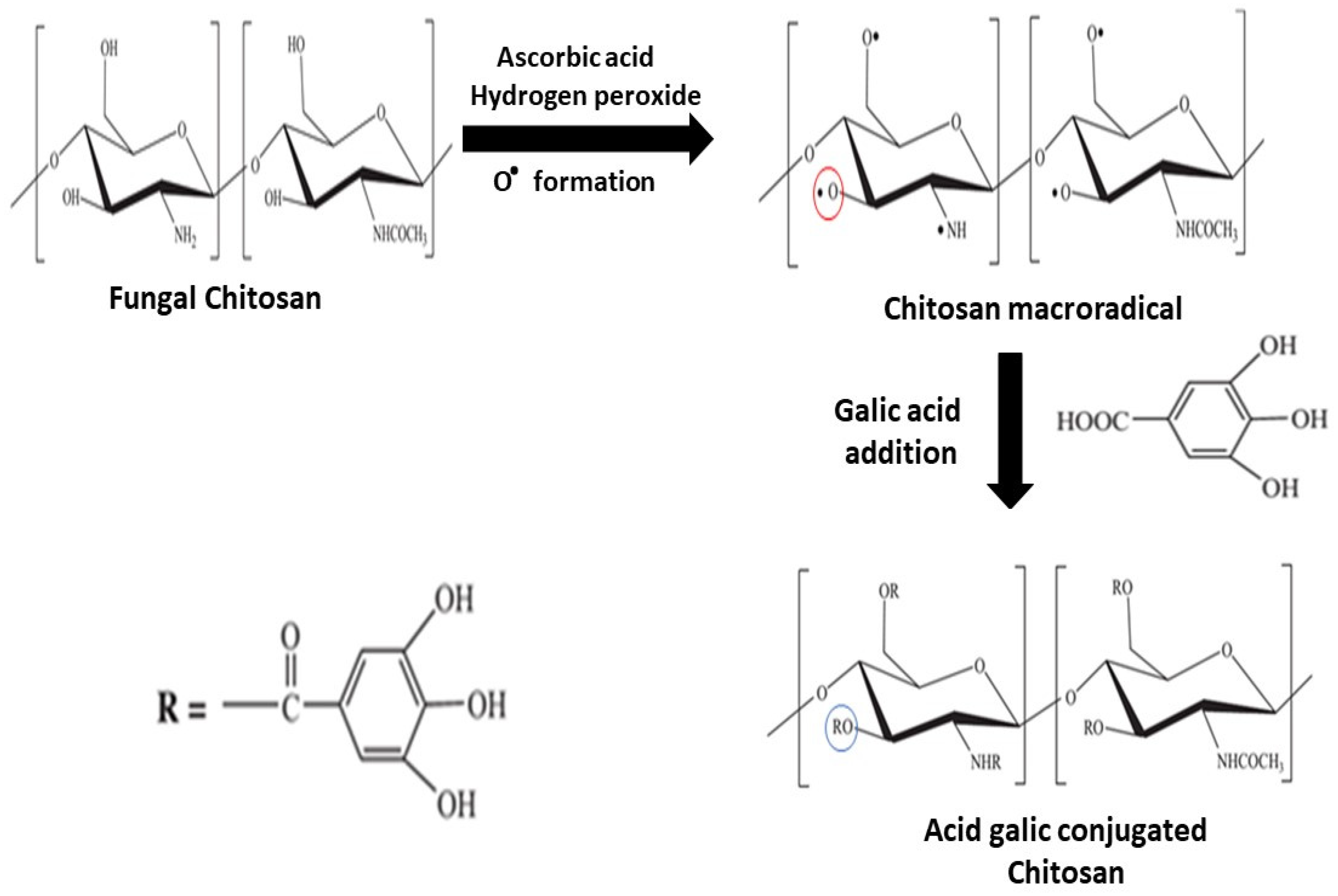 Jof 07 00812 g002 Jof 07 00812 g002