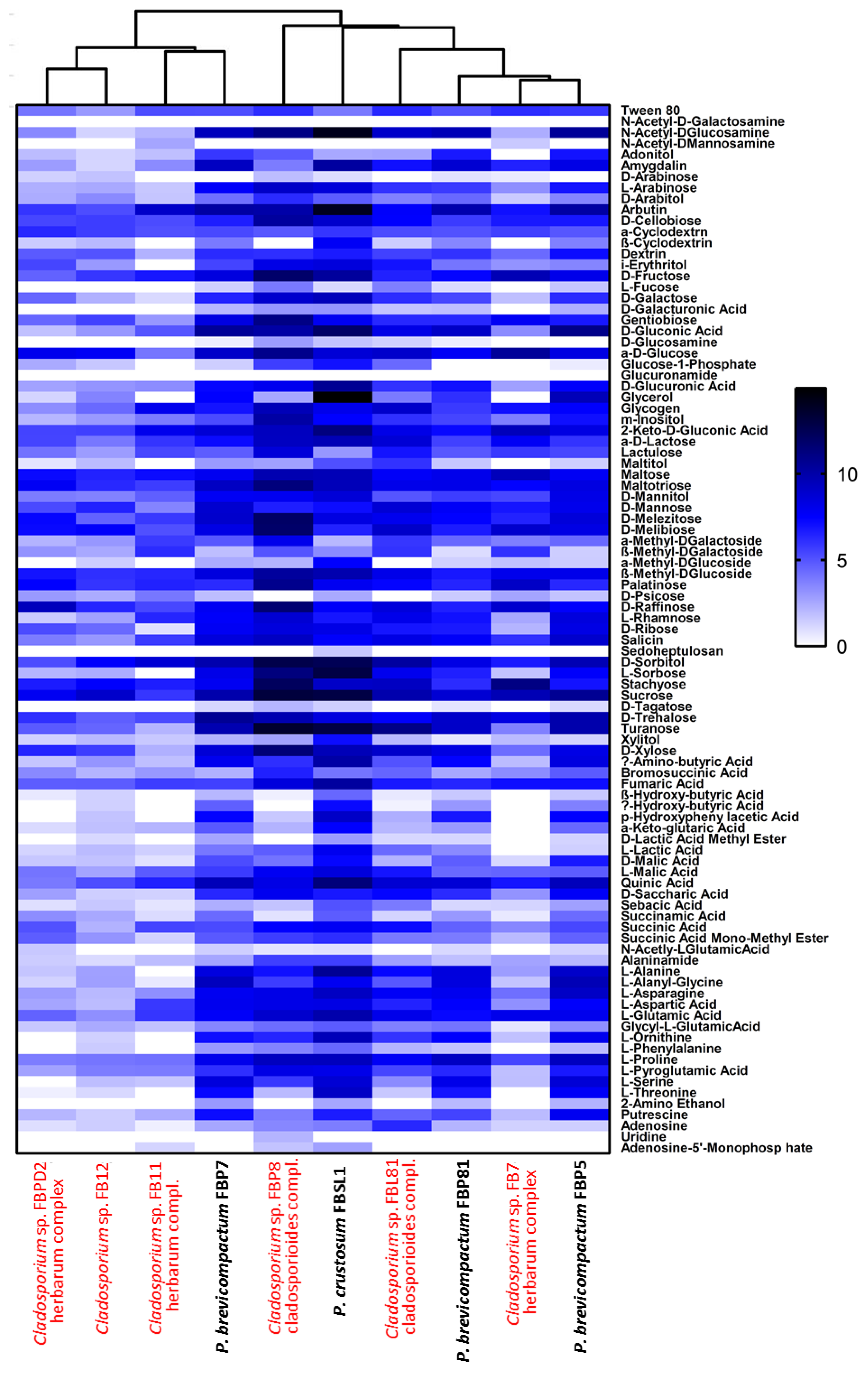 Jof 07 00968 g008 Jof 07 00968 g008