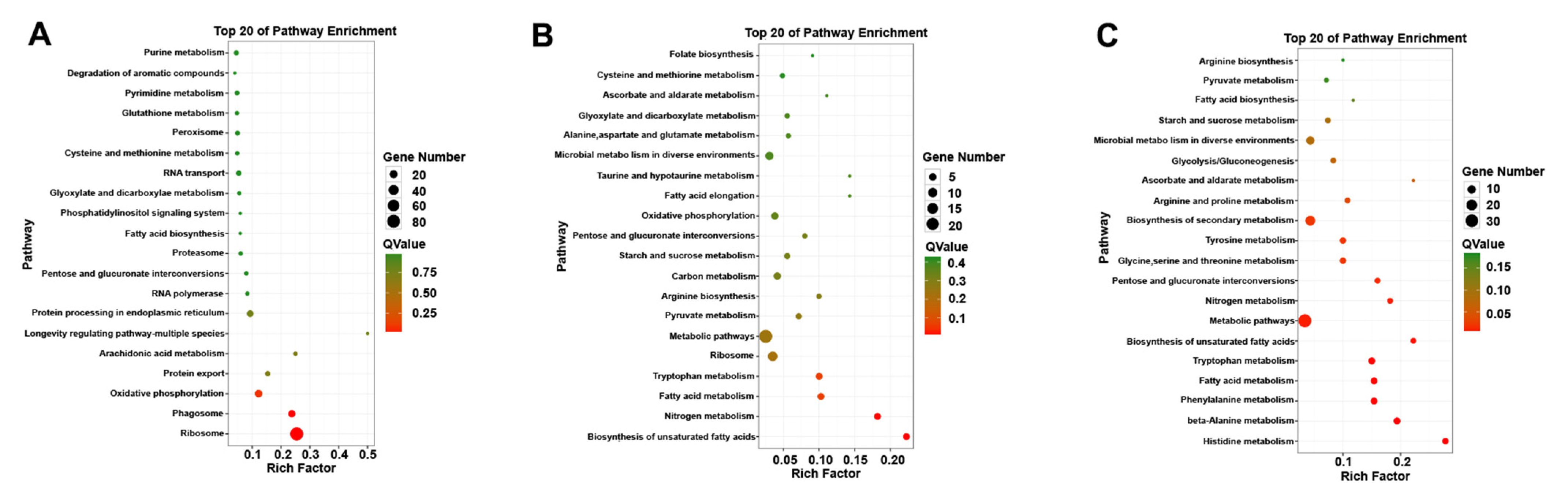 Jof 07 01001 g006 Jof 07 01001 g006