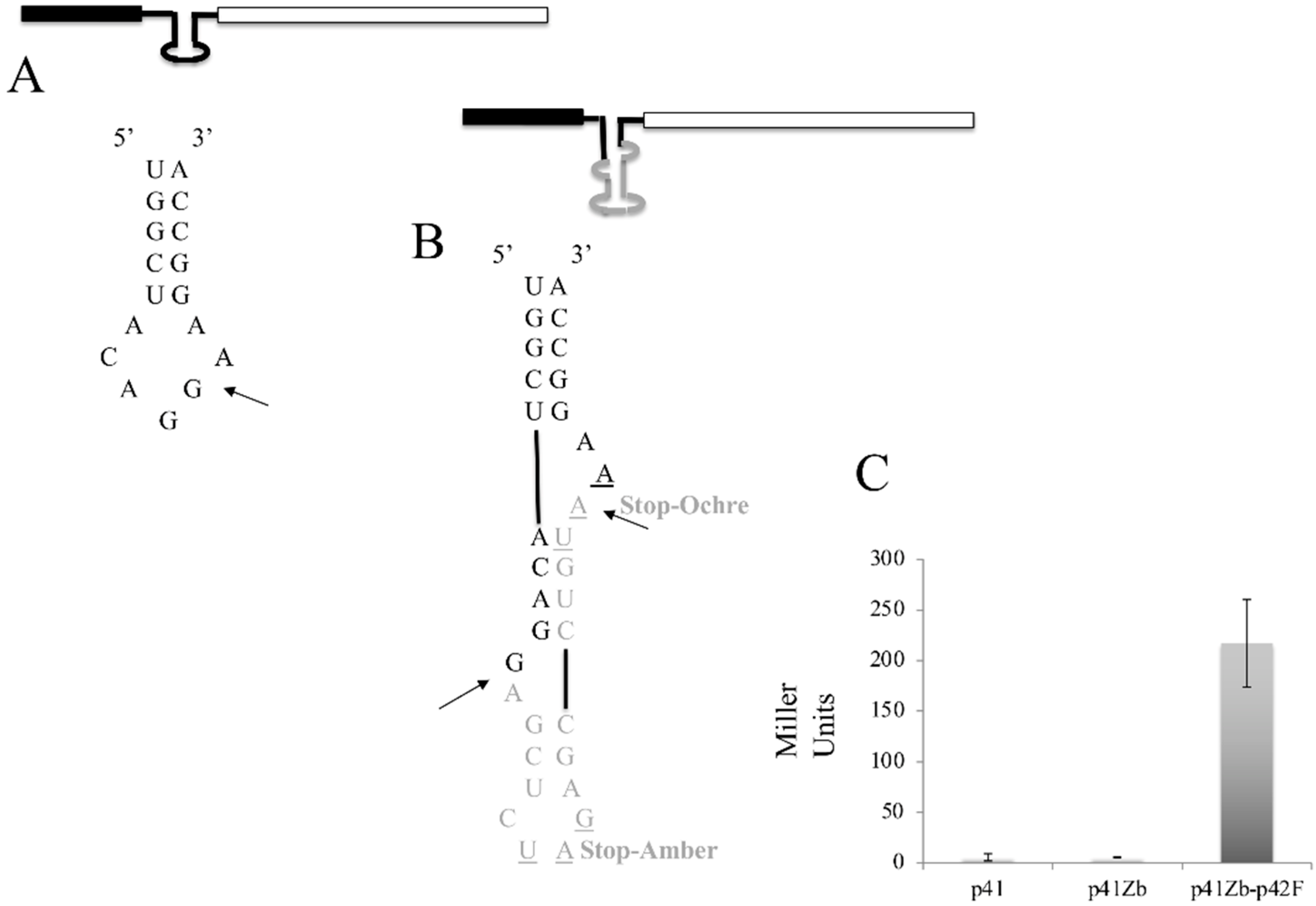 Jof 07 01069 g005 Jof 07 01069 g005