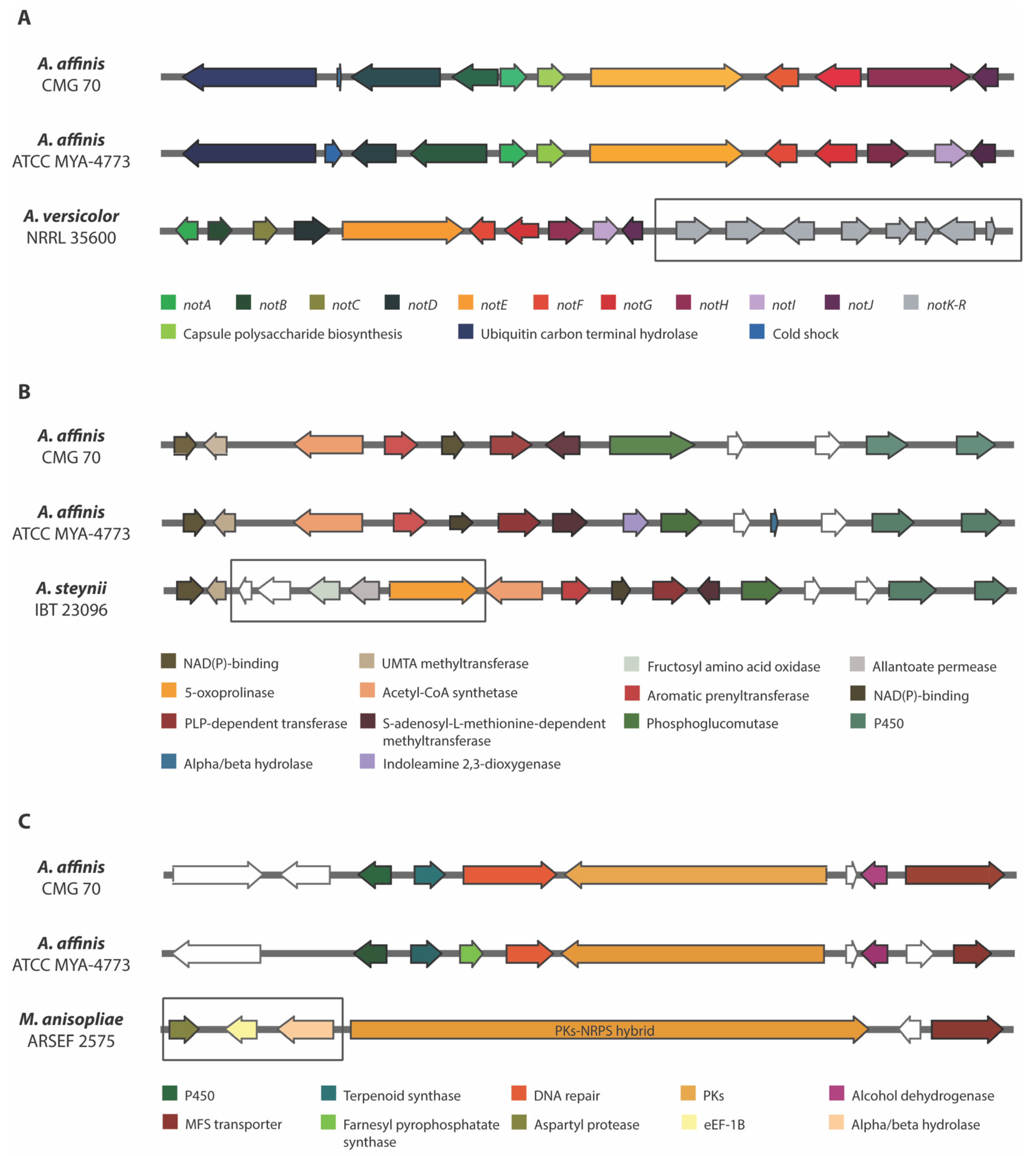 Jof 07 01091 g005 Jof 07 01091 g005