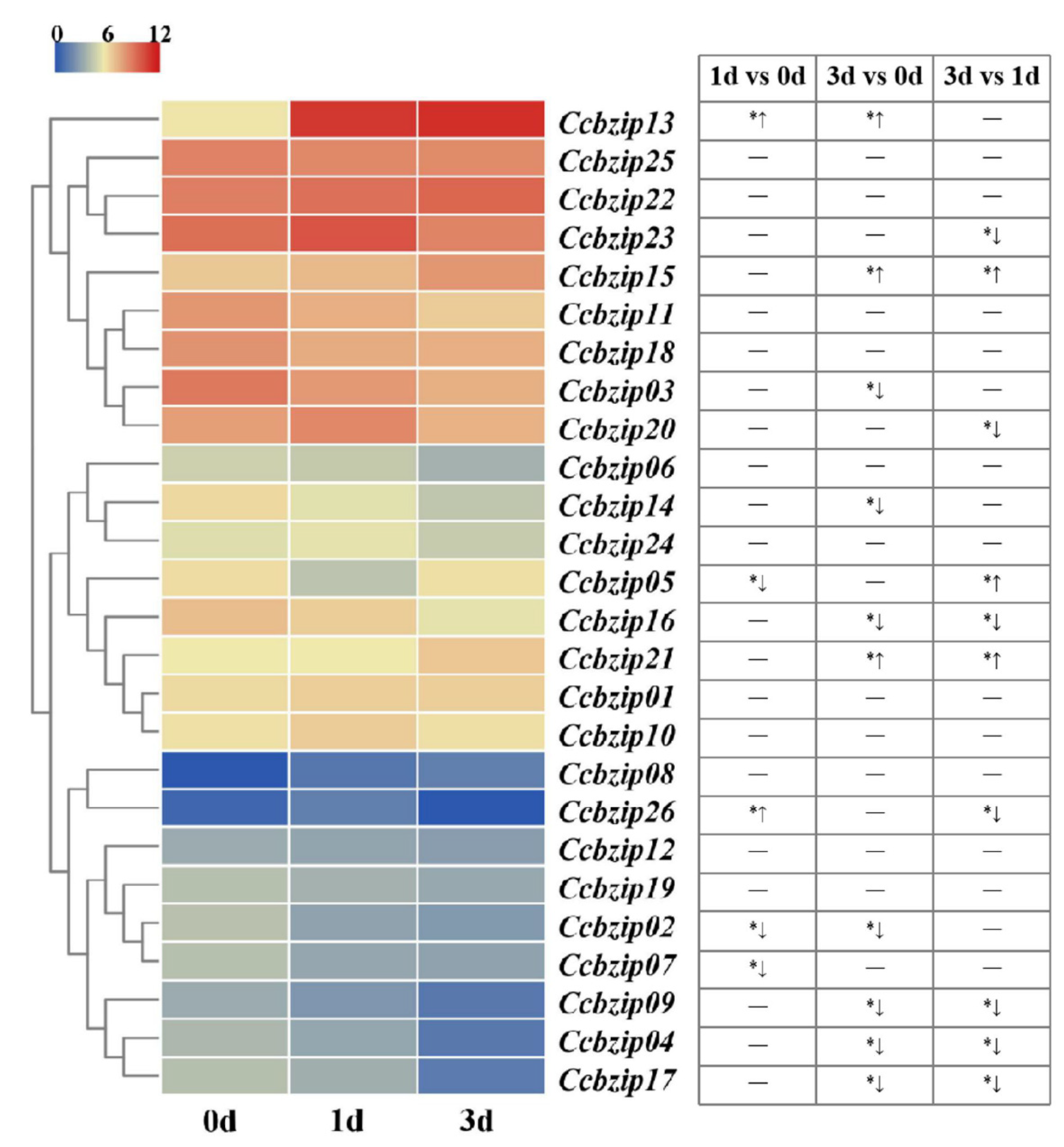 JoF | Free Full-Text | Genome-Wide Identification of bZIP Transcription ...