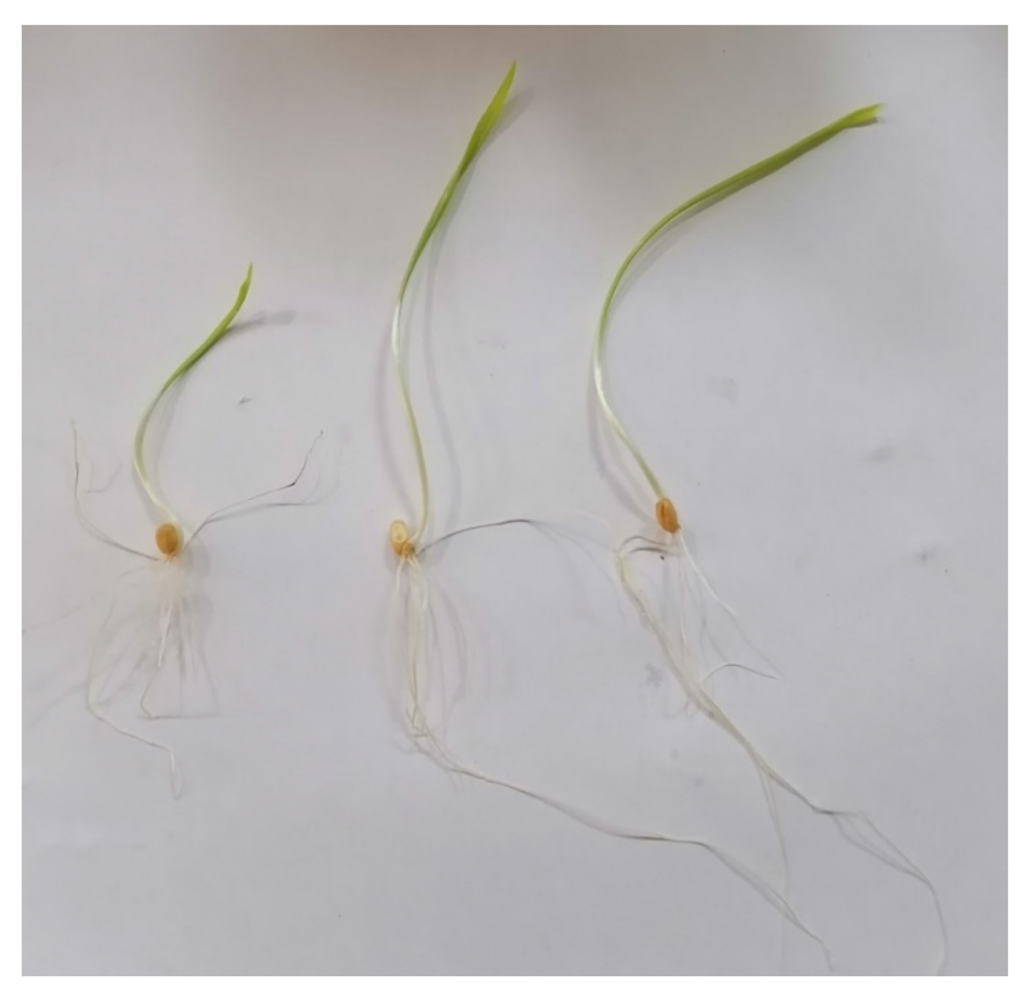 Jof 08 00094 g005 Jof 08 00094 g005