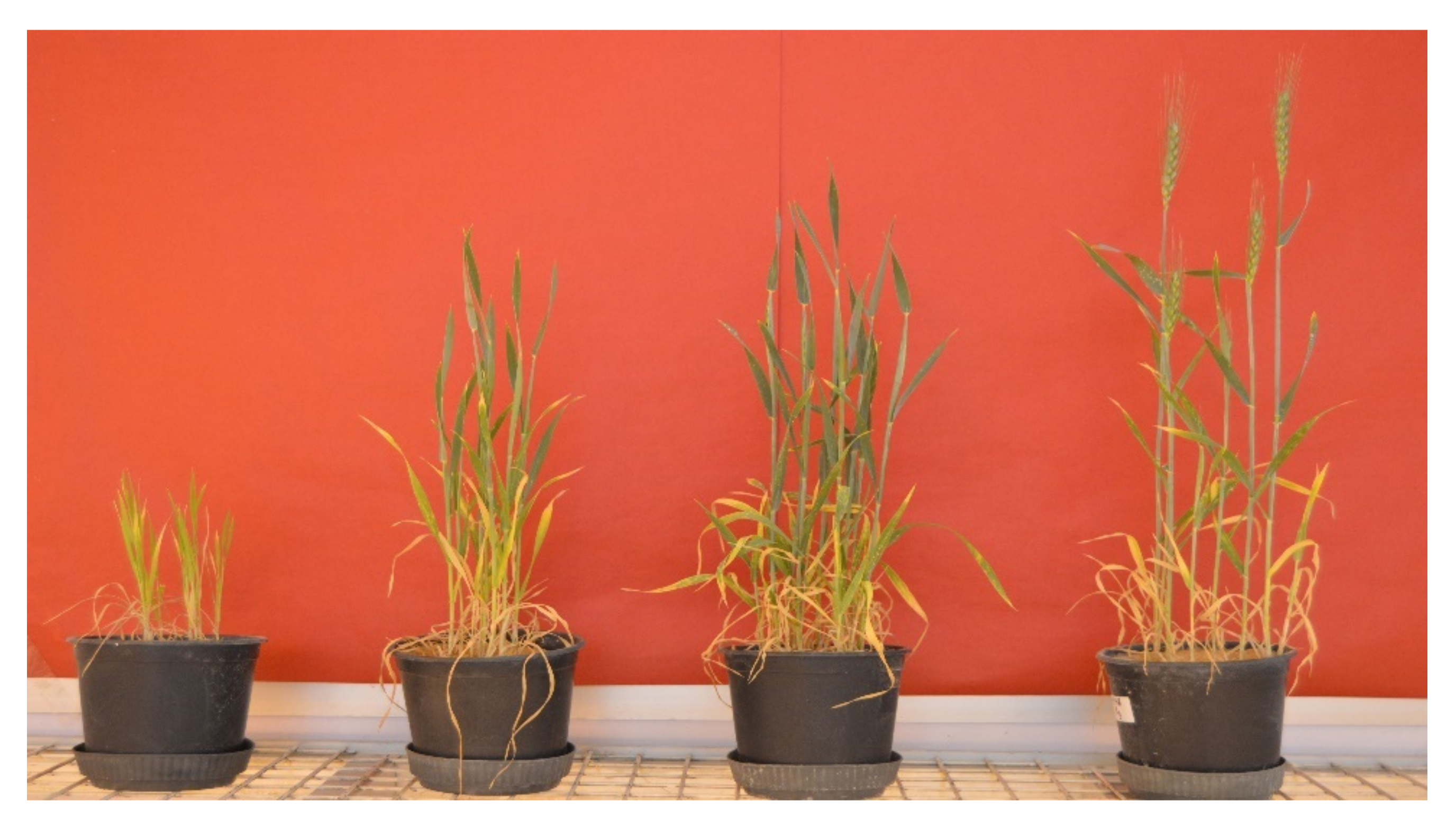 Jof 08 00094 g007 Jof 08 00094 g007