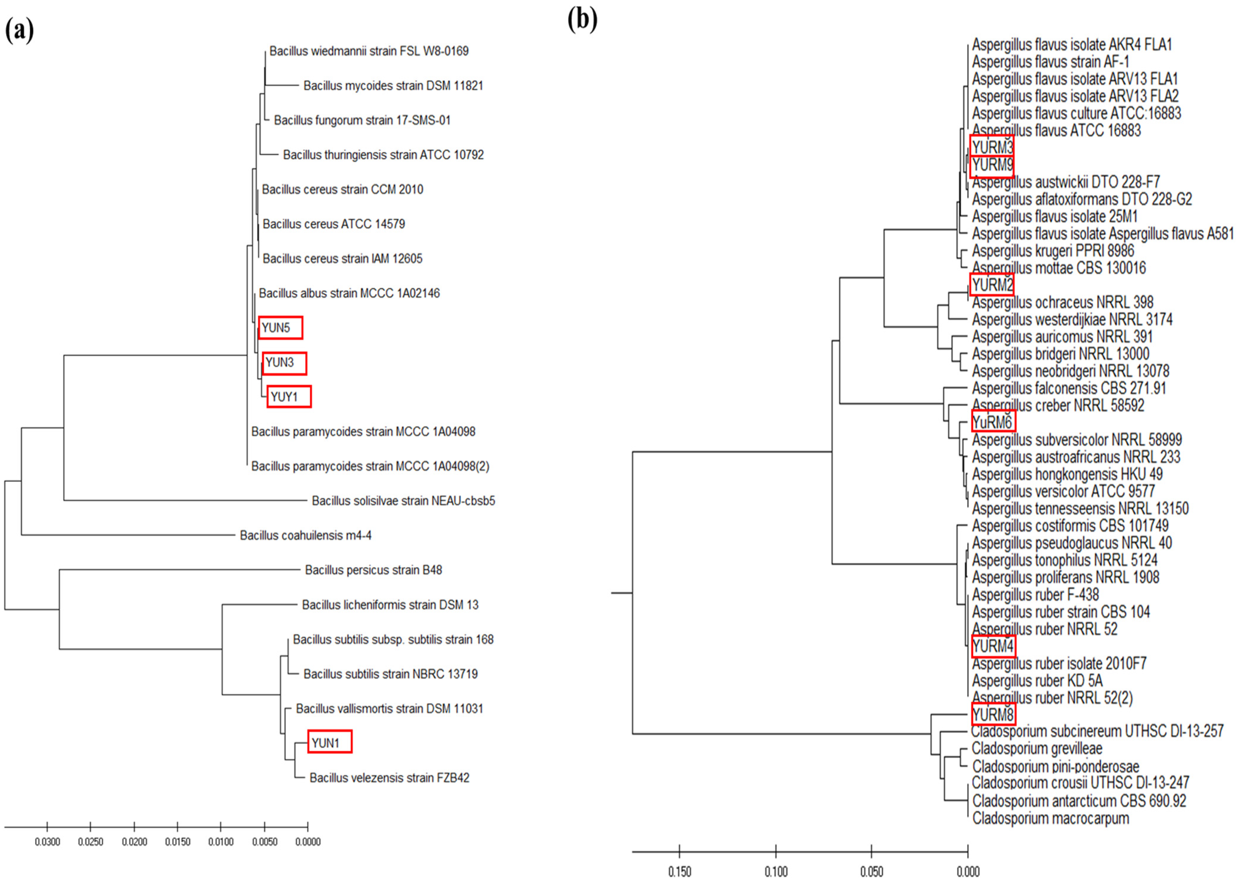 Jof 08 00190 g007 Jof 08 00190 g007