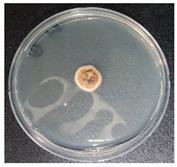 Jof 08 00190 i002 Jof 08 00190 i002