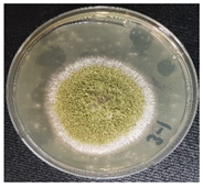 Jof 08 00190 i003 Jof 08 00190 i003