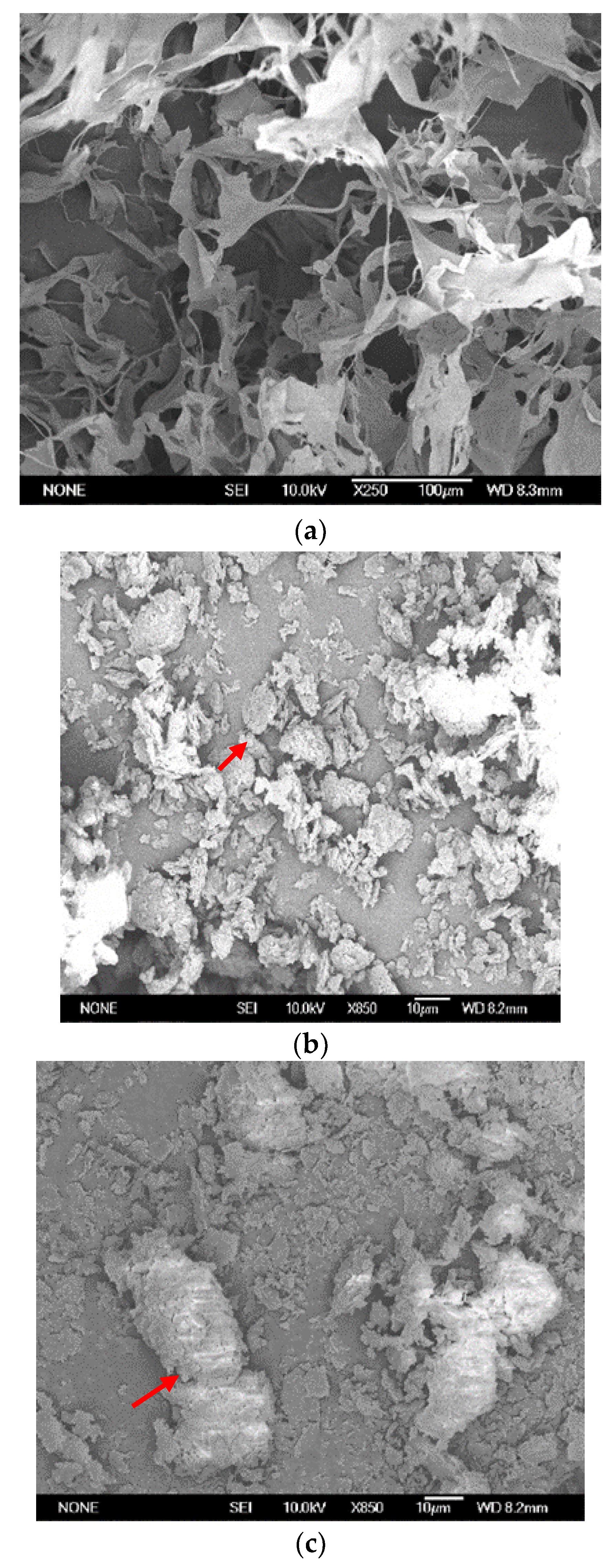 Jof 08 00192 g003 Jof 08 00192 g003