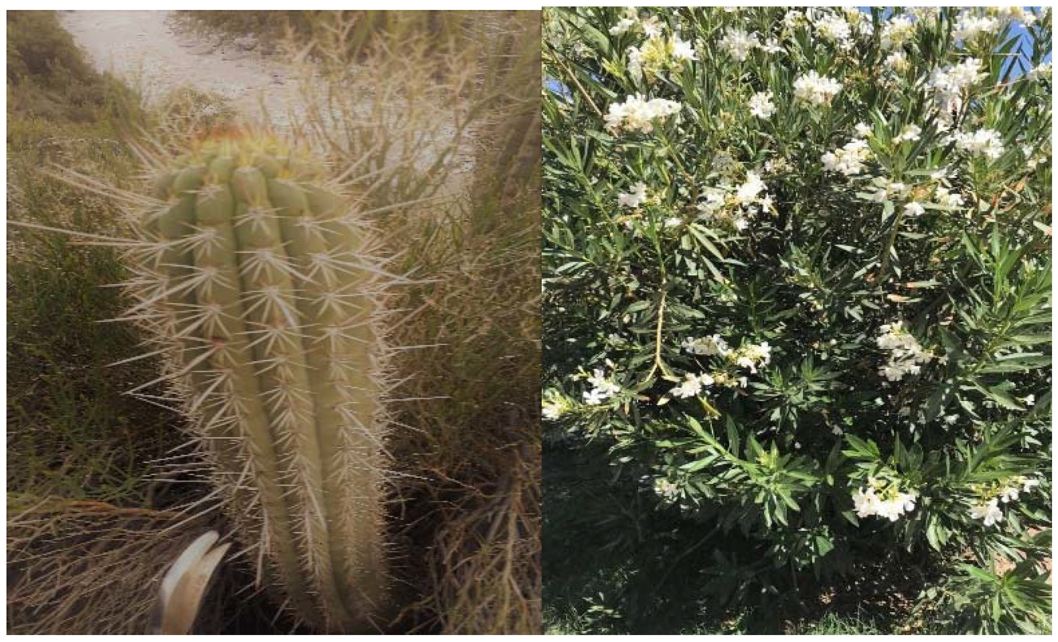 Jof 08 00197 g001 Jof 08 00197 g001