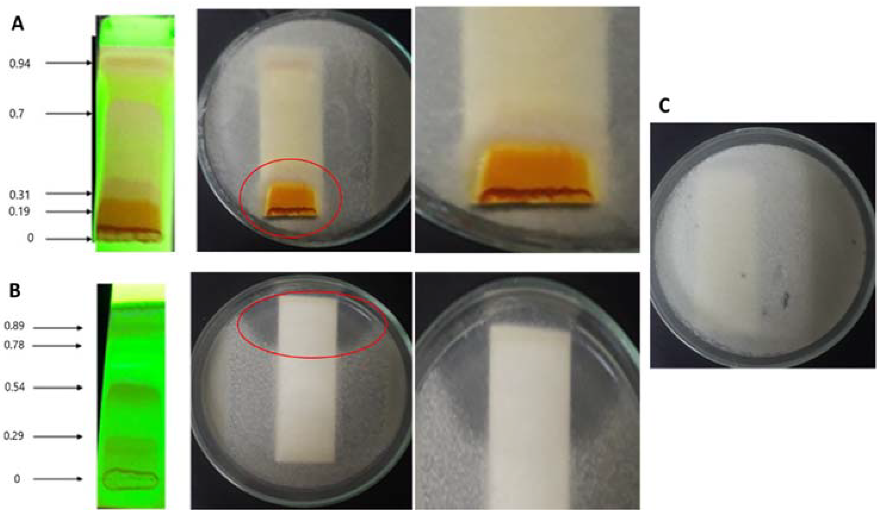 Jof 08 00197 g005 Jof 08 00197 g005