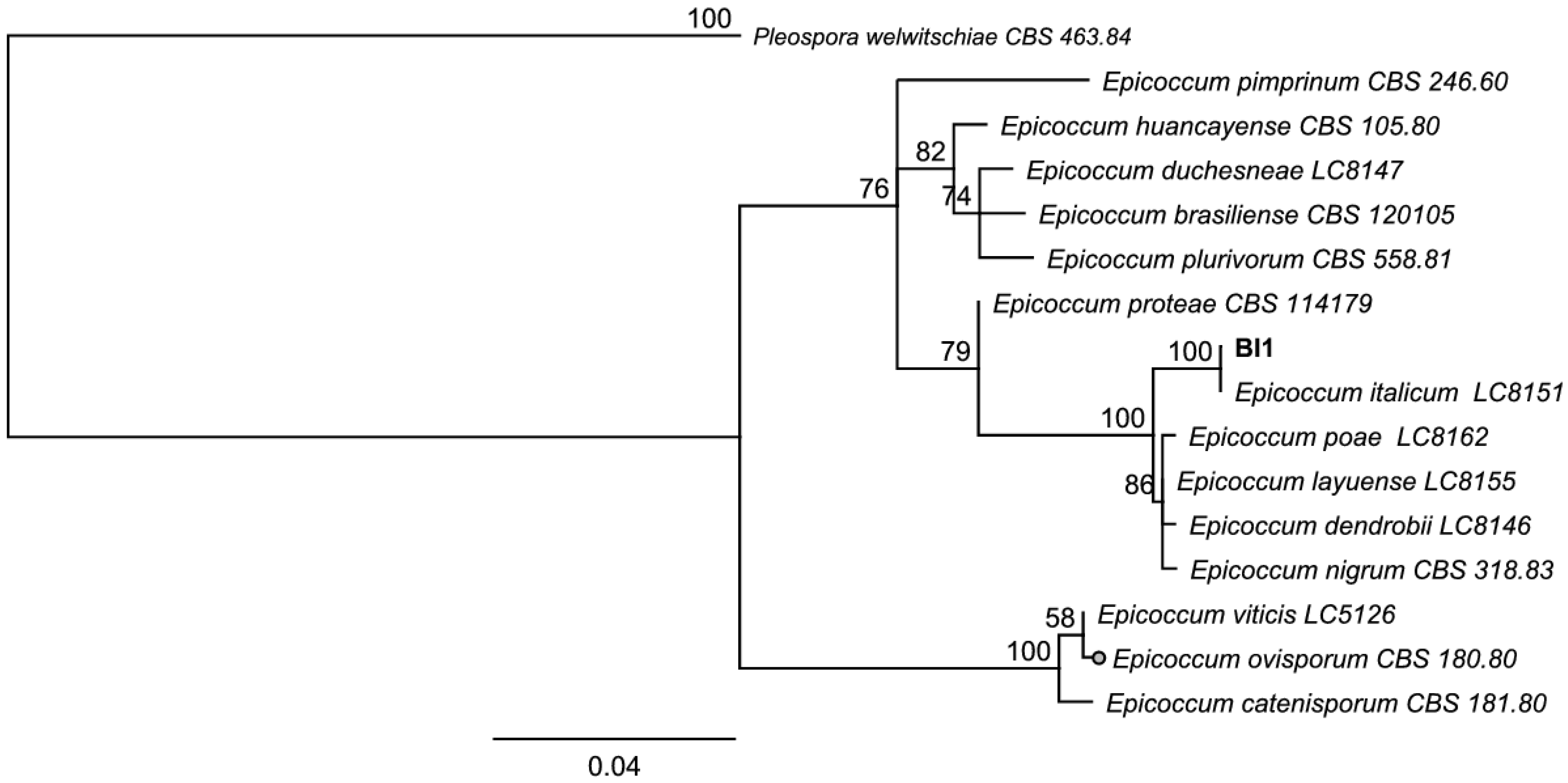 Jof 08 00197 g008 Jof 08 00197 g008