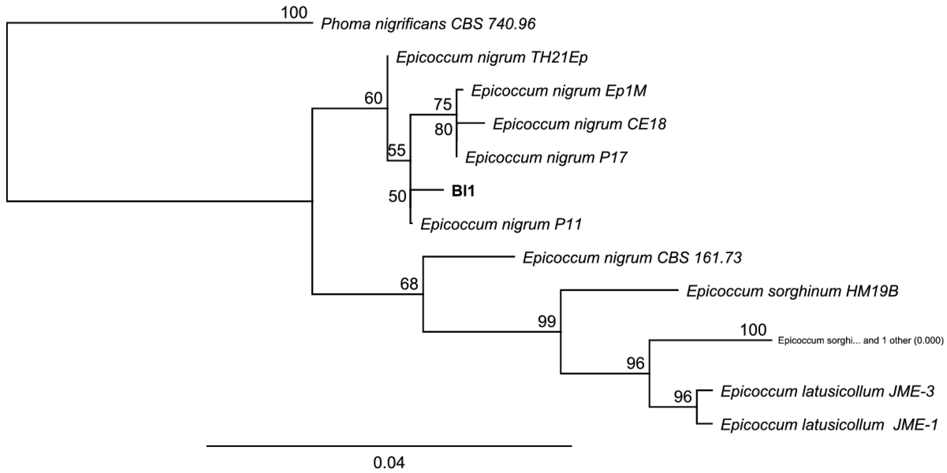 Jof 08 00197 g009 Jof 08 00197 g009