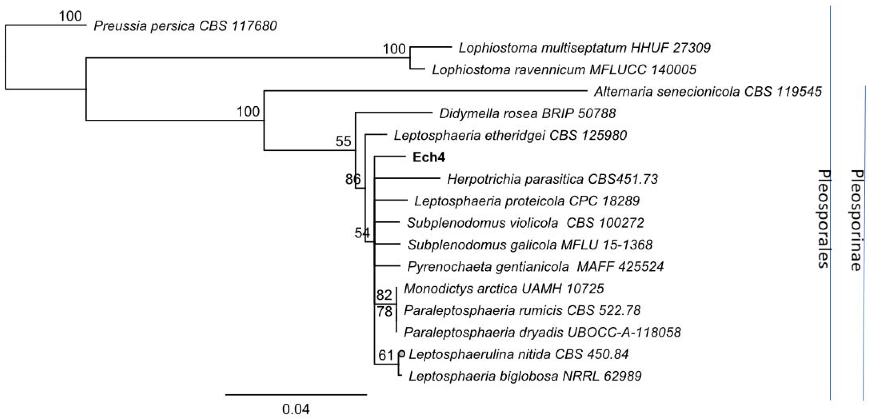 Jof 08 00197 g010 Jof 08 00197 g010