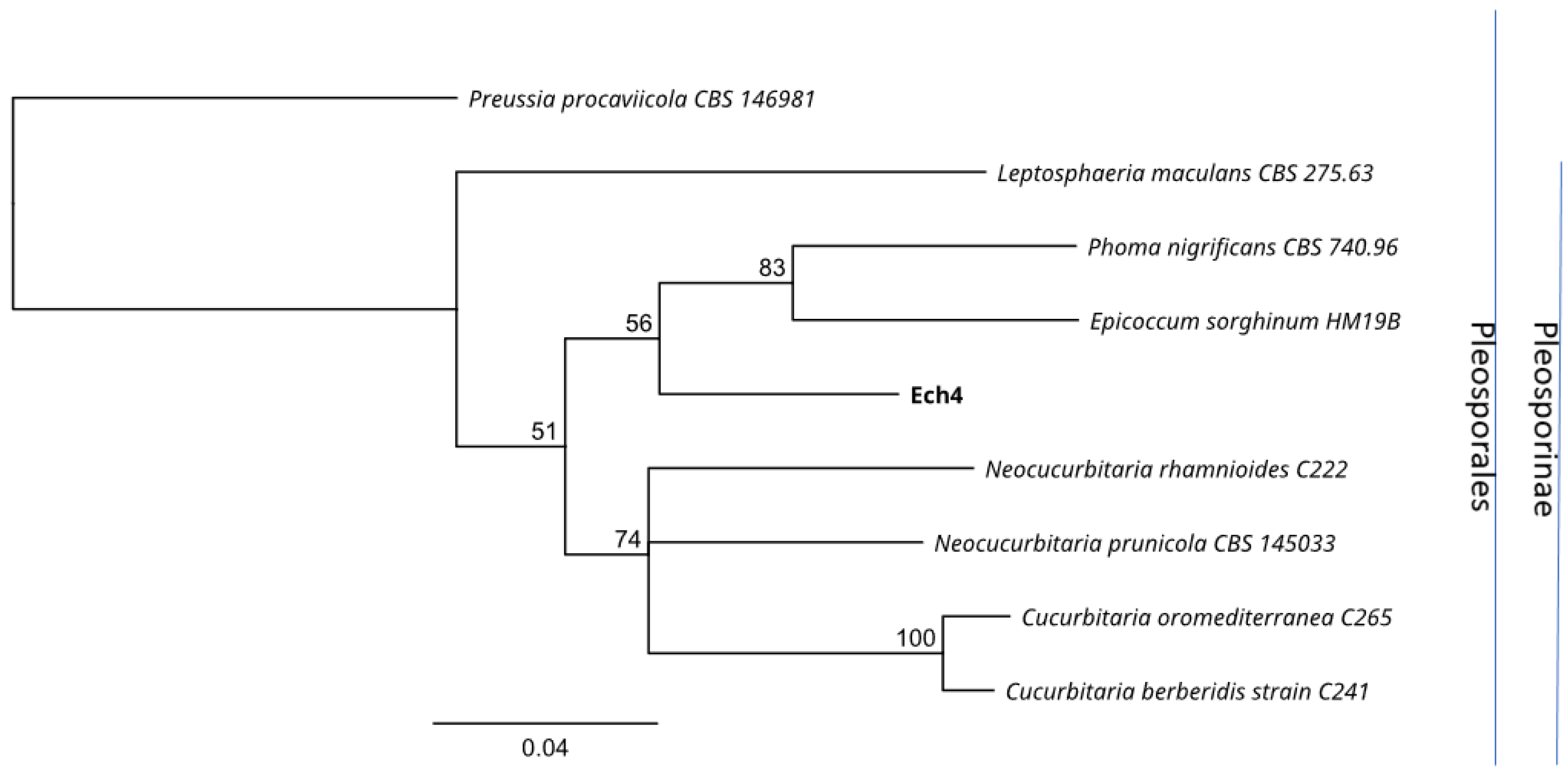 Jof 08 00197 g011 Jof 08 00197 g011
