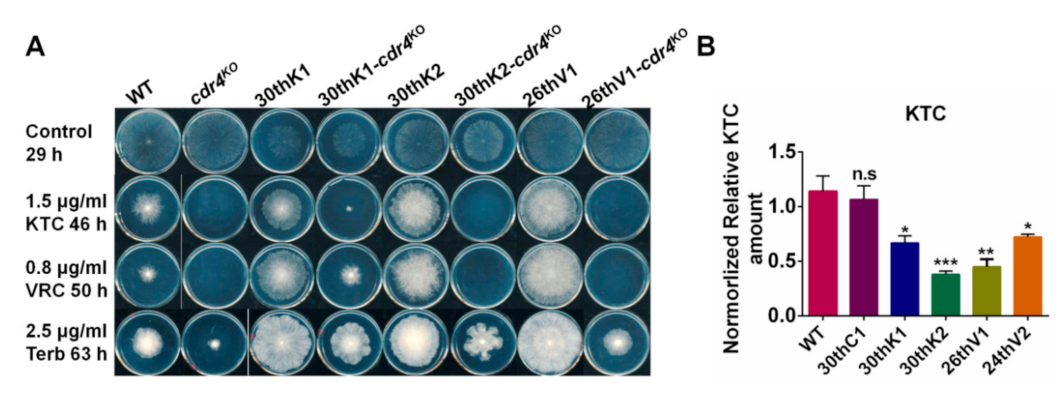 Jof 08 00198 g006 Jof 08 00198 g006