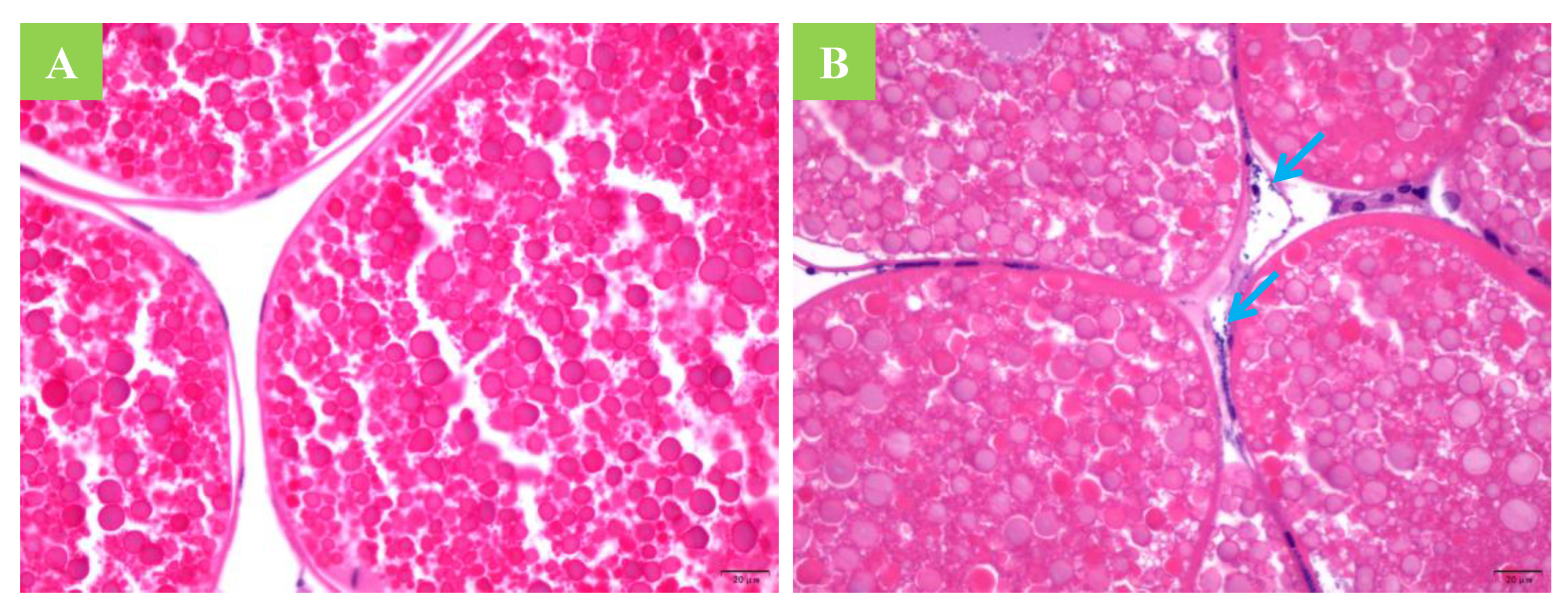 Jof 08 00210 g003 Jof 08 00210 g003