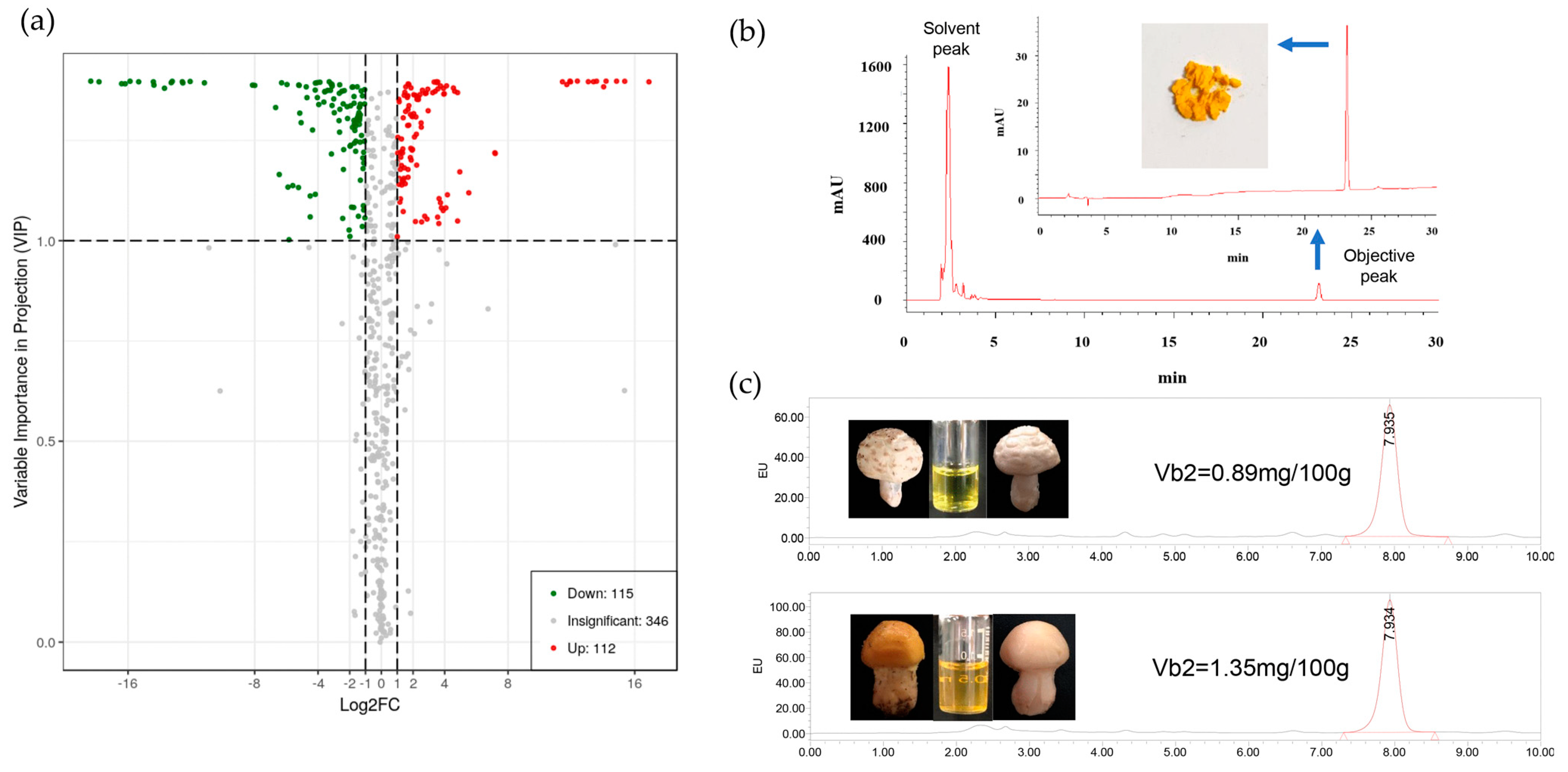 Jof 08 00314 g001 Jof 08 00314 g001