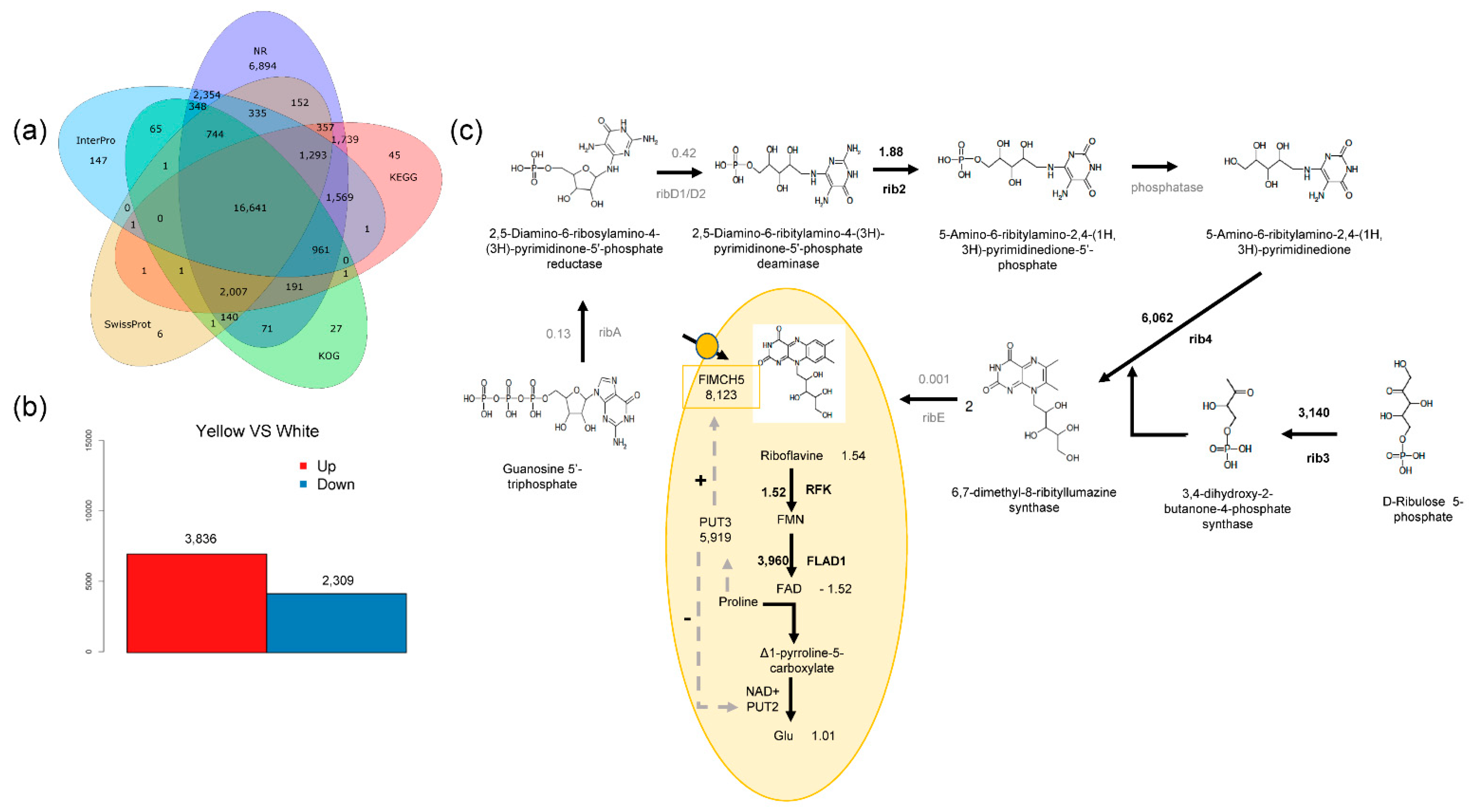 Jof 08 00314 g002 Jof 08 00314 g002