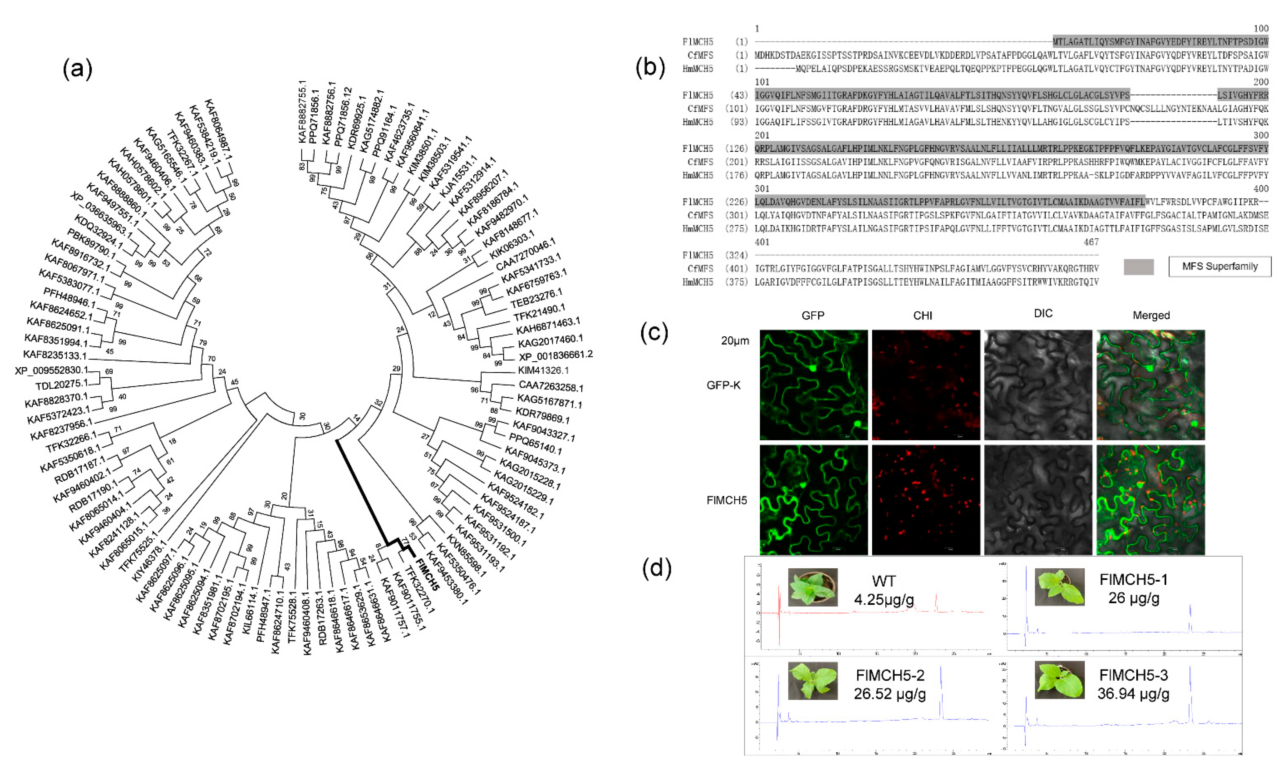 Jof 08 00314 g003 Jof 08 00314 g003