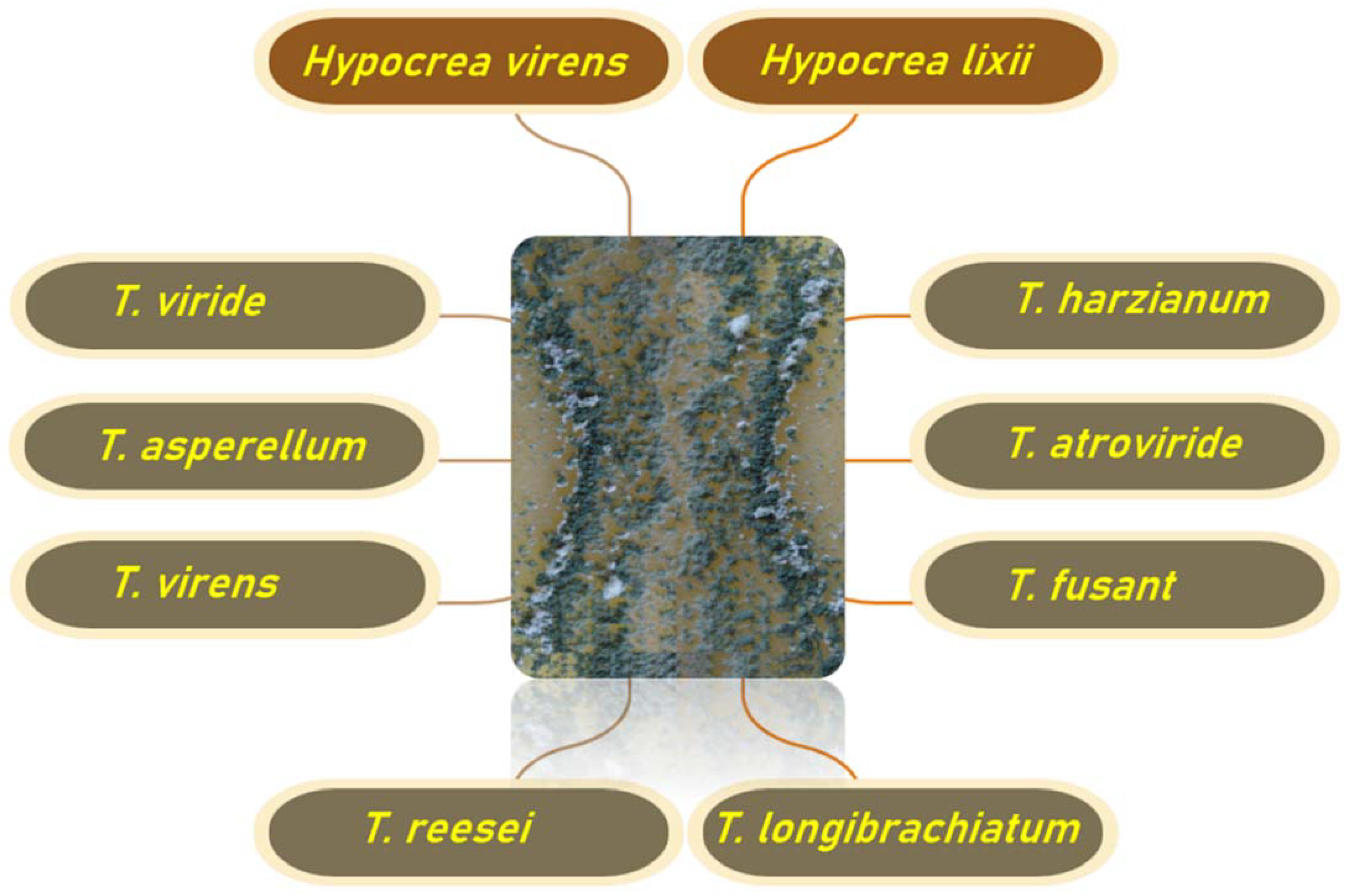 Micro and Nano Metals