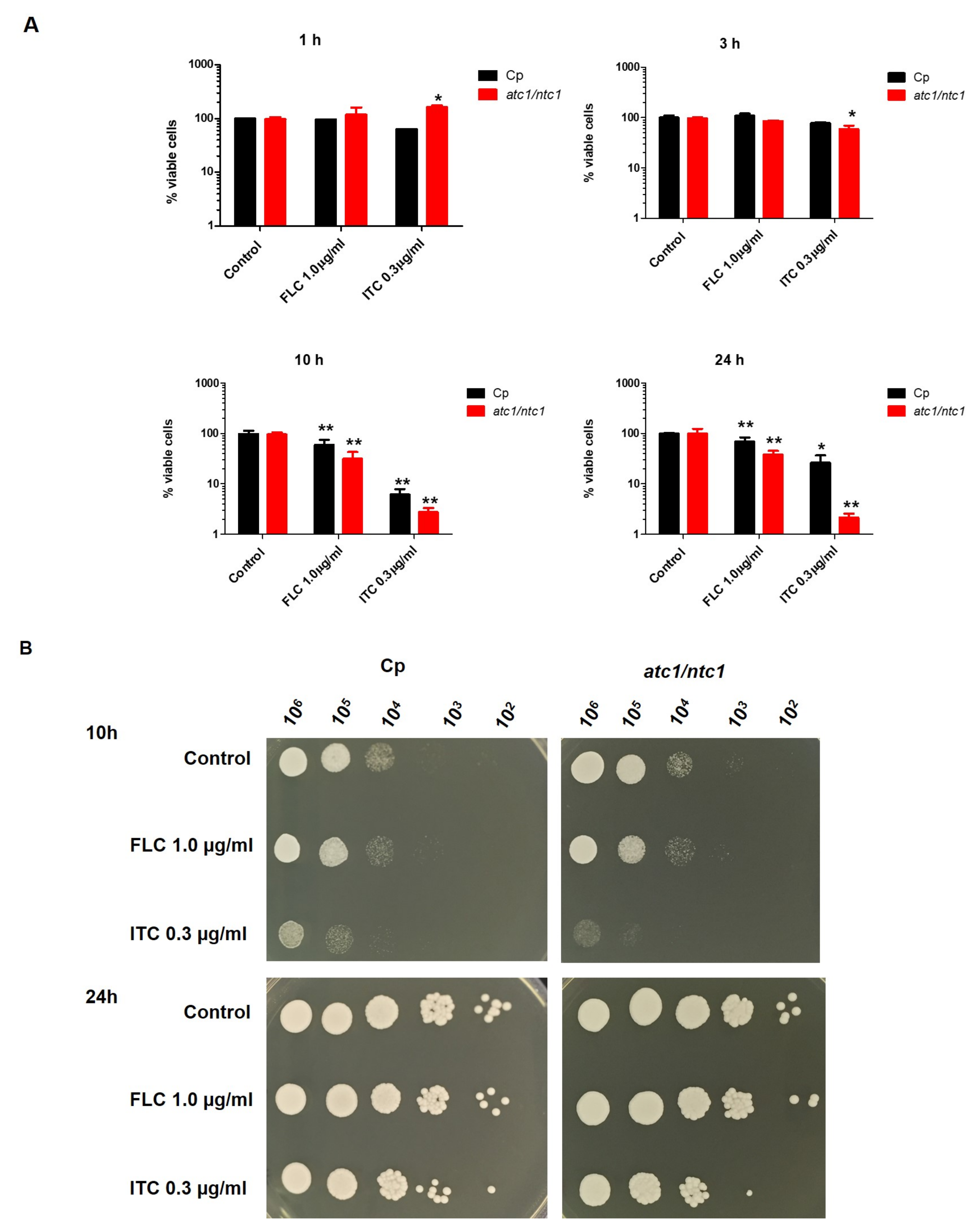 Jof 08 00371 g001 Jof 08 00371 g001