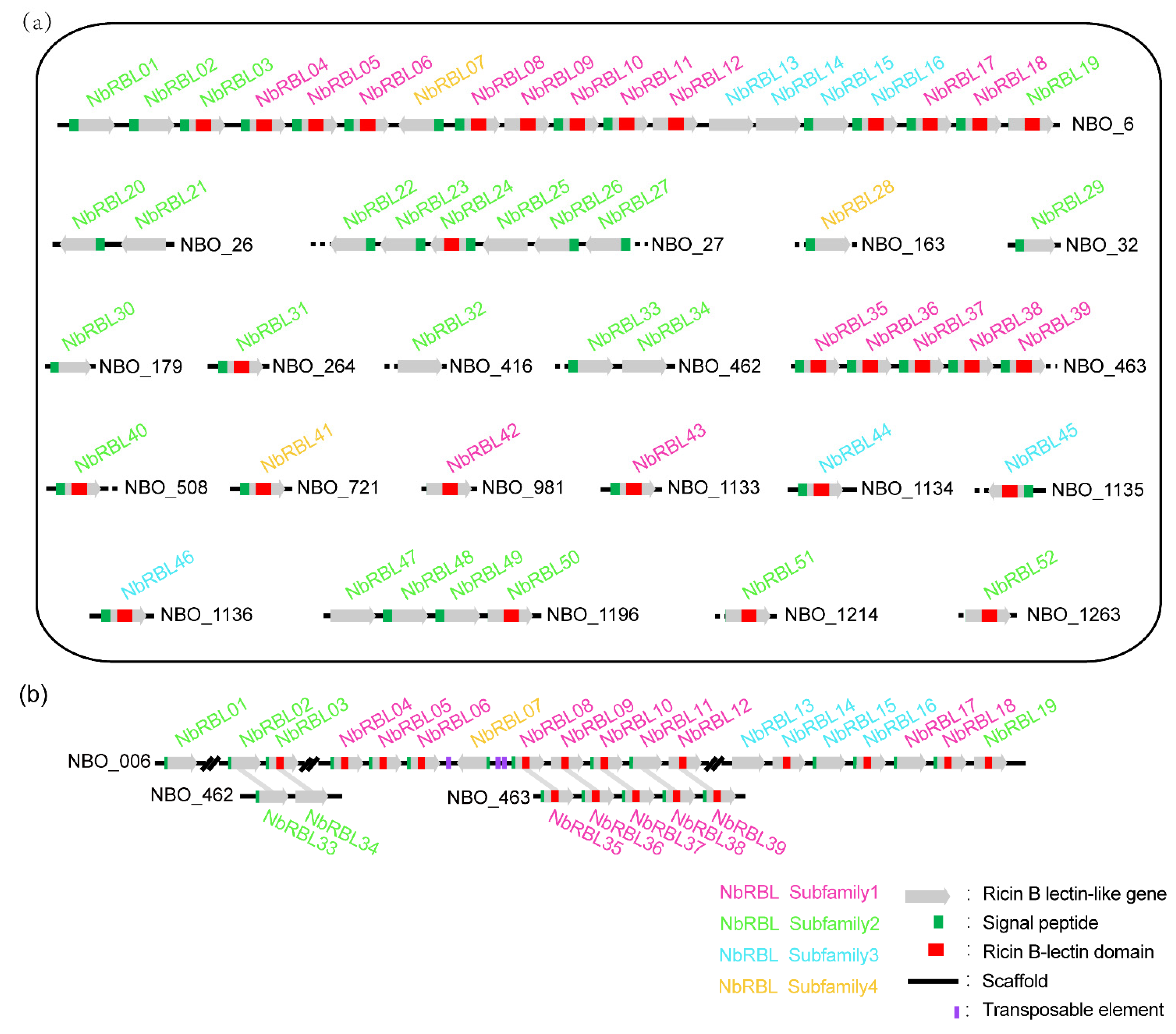 JoF | Free Full-Text | Characterization of the Largest Secretory ...