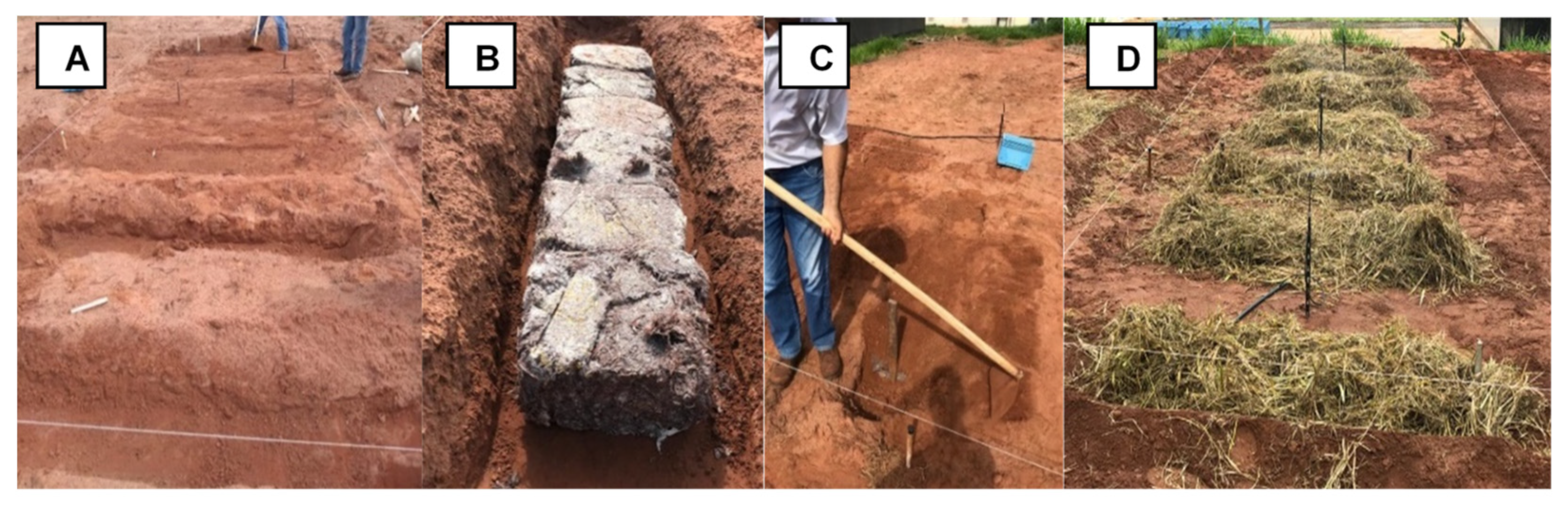 Jof 08 00616 g001 Jof 08 00616 g001