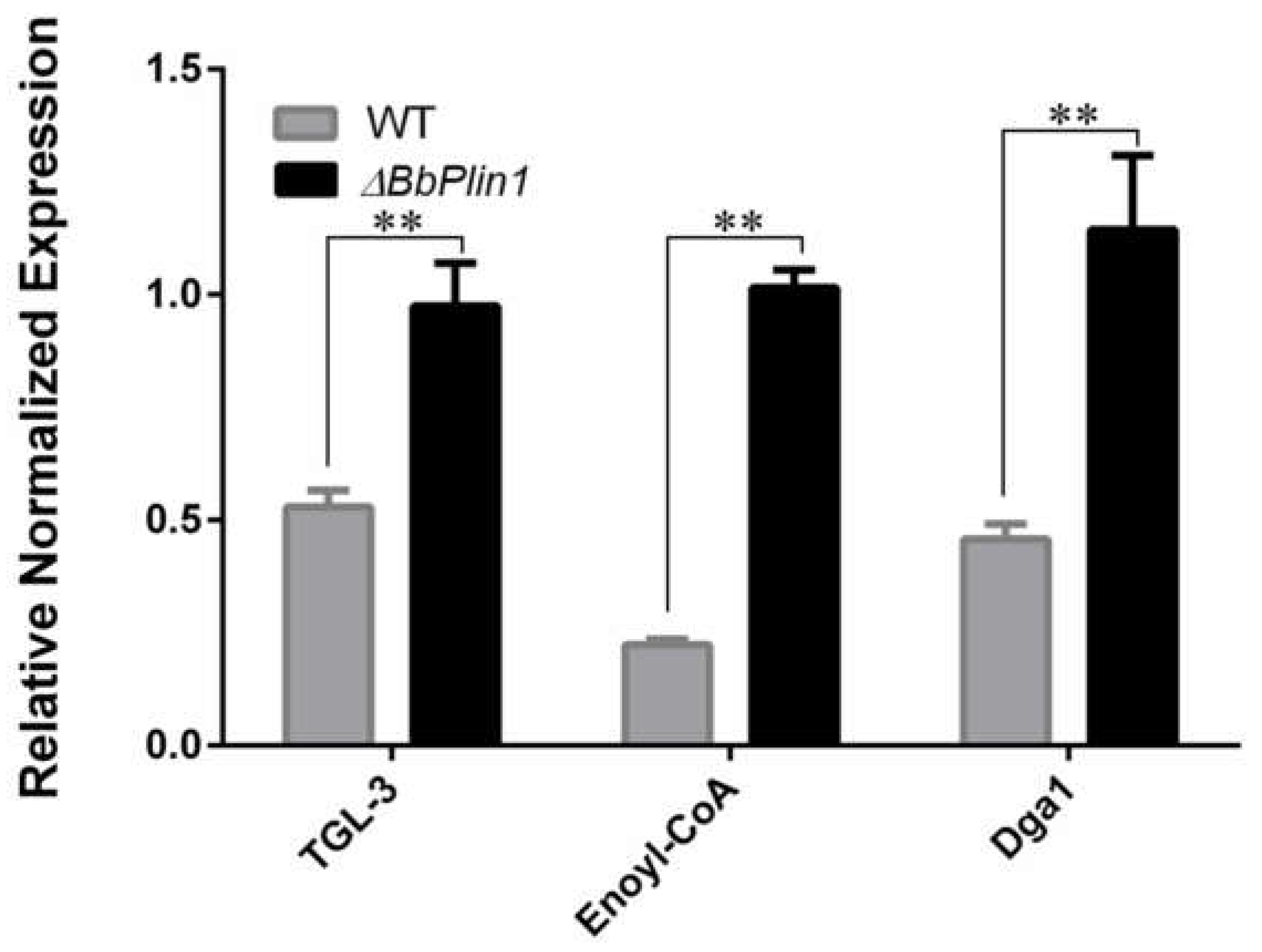 JoF | Free Full-Text | A Perilipin Affects Lipid Droplet