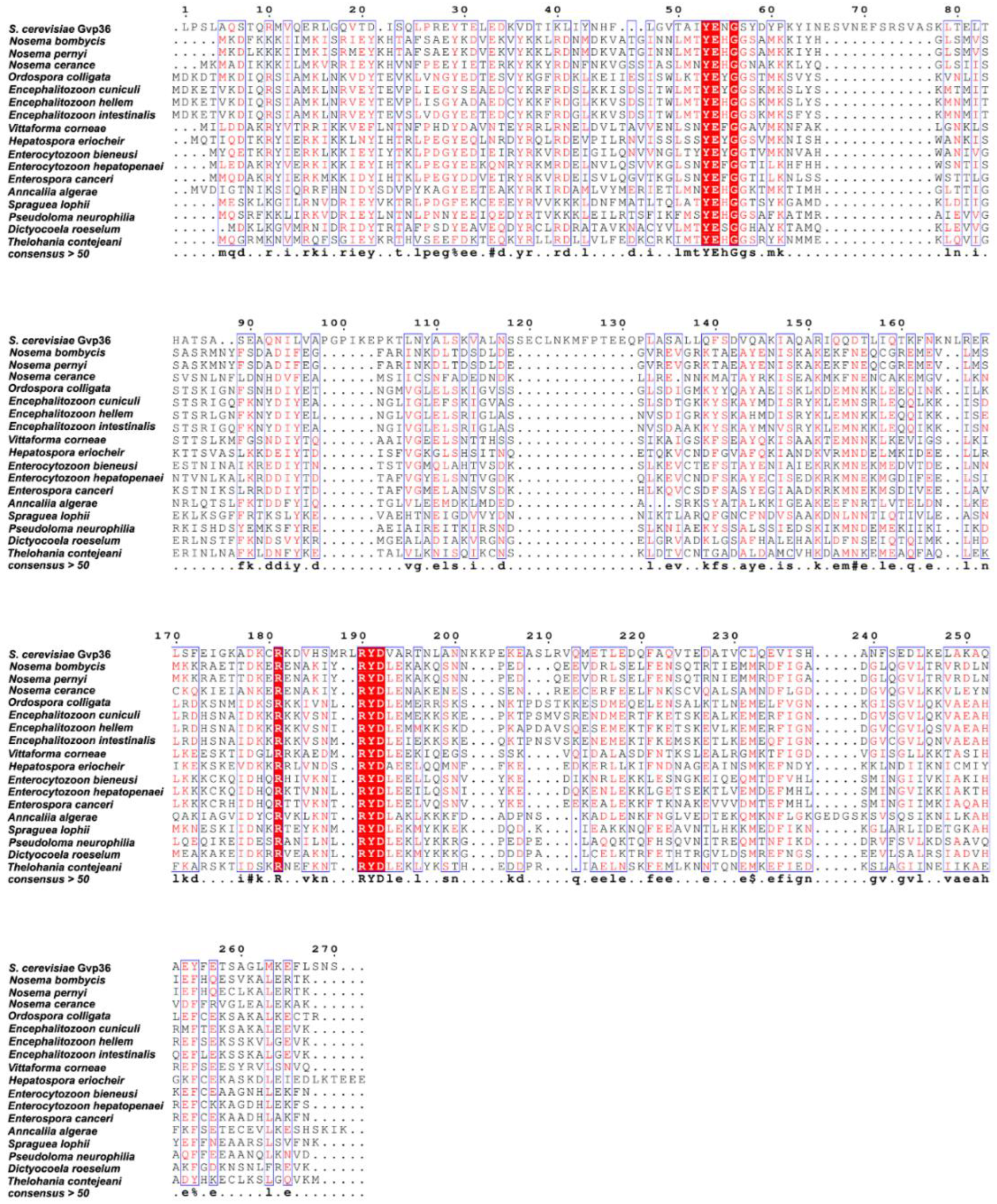 https://www.mdpi.com/jof/jof-08-00764/article_deploy/html/images/jof-08-00764-g001.png