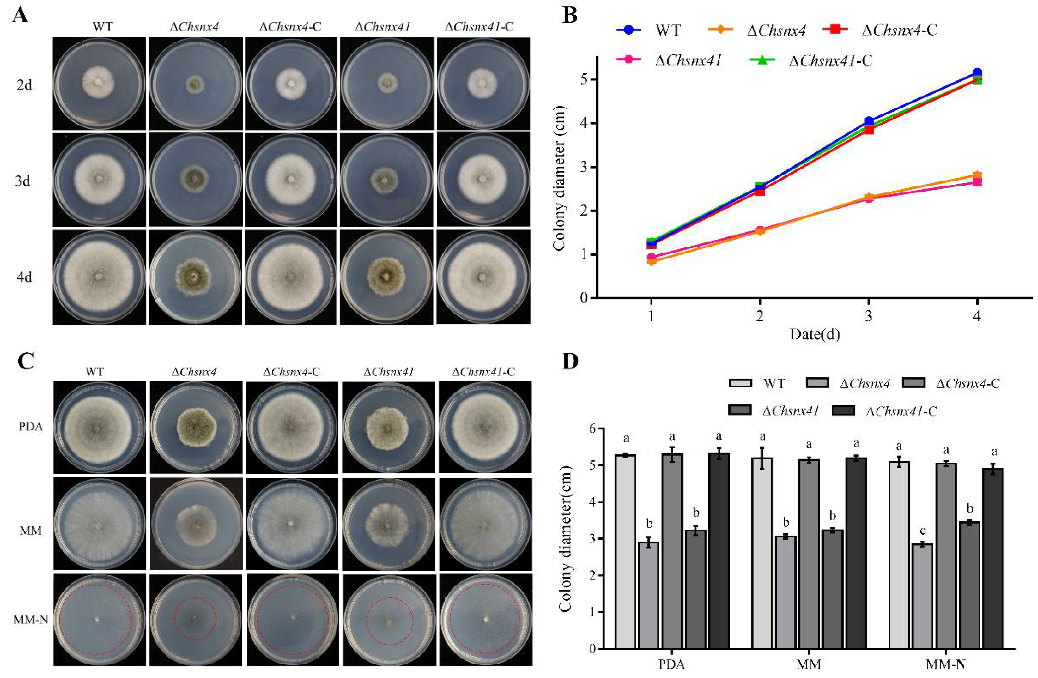 Jof 08 00855 g002 Jof 08 00855 g002
