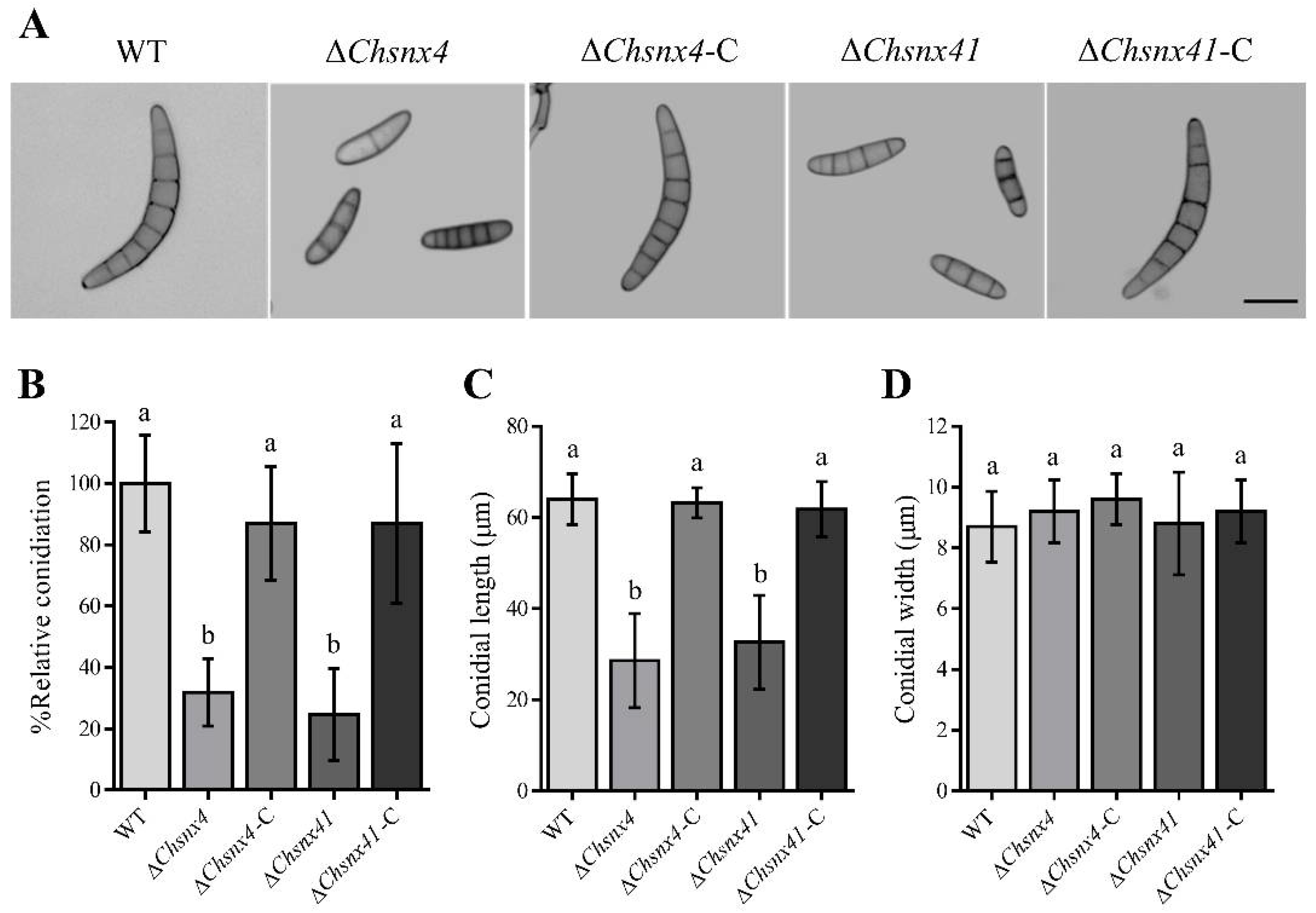 Jof 08 00855 g003 Jof 08 00855 g003