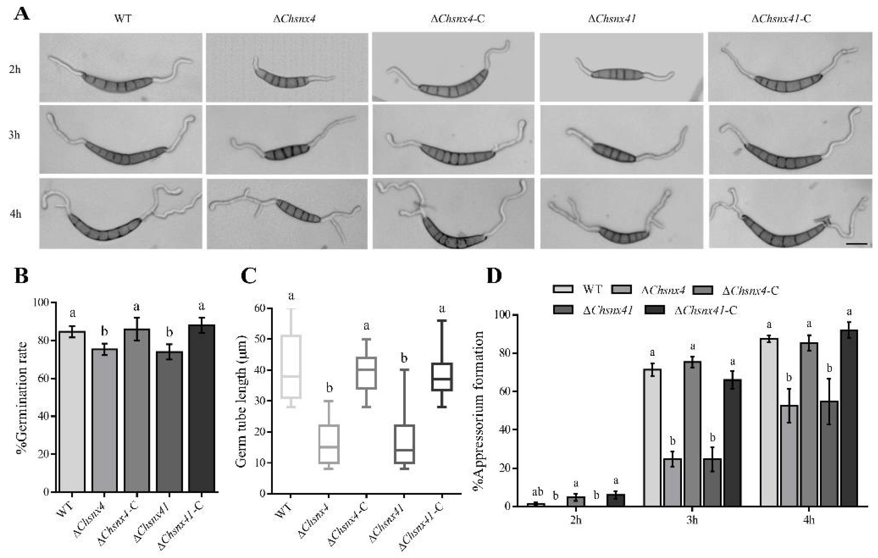 Jof 08 00855 g004 Jof 08 00855 g004
