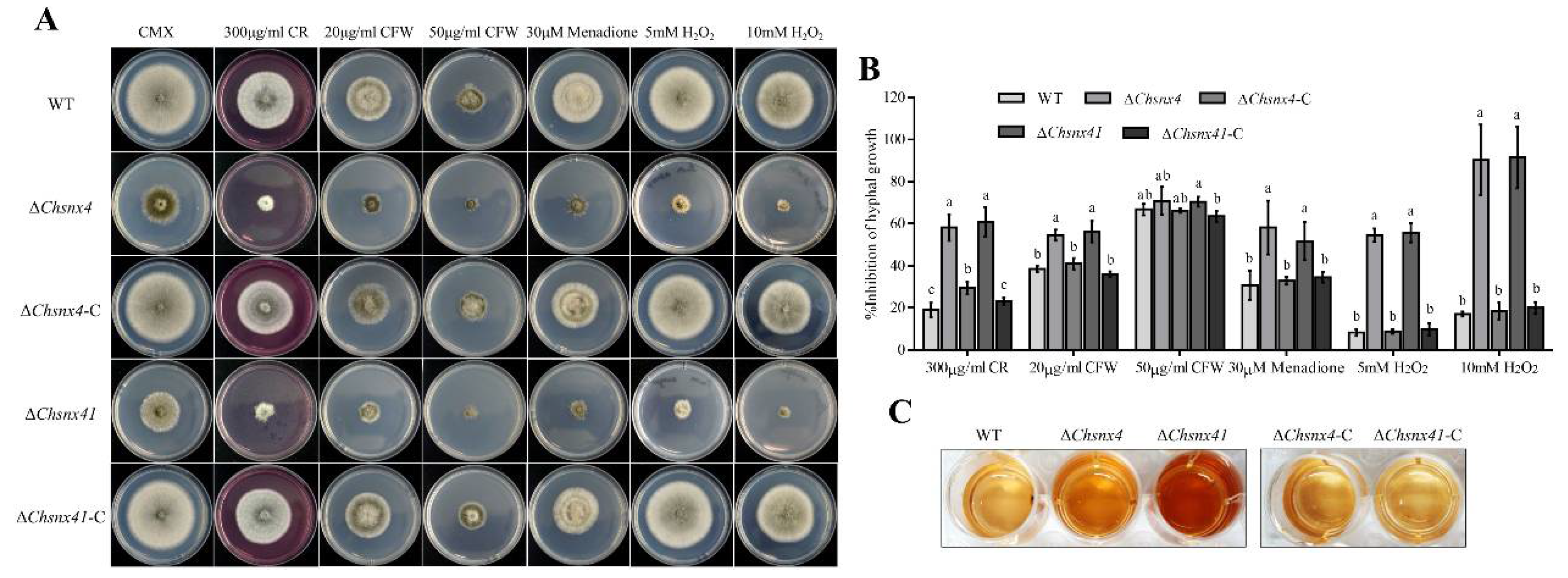 Jof 08 00855 g005 Jof 08 00855 g005