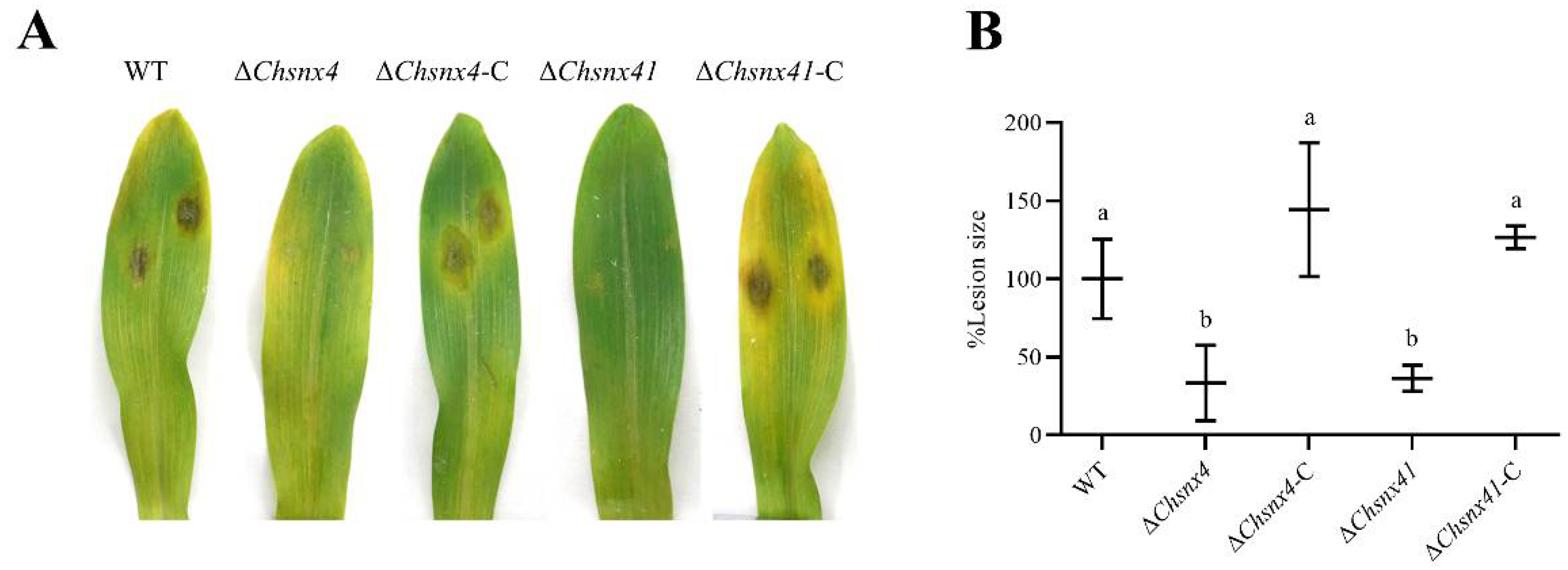 Jof 08 00855 g007 Jof 08 00855 g007