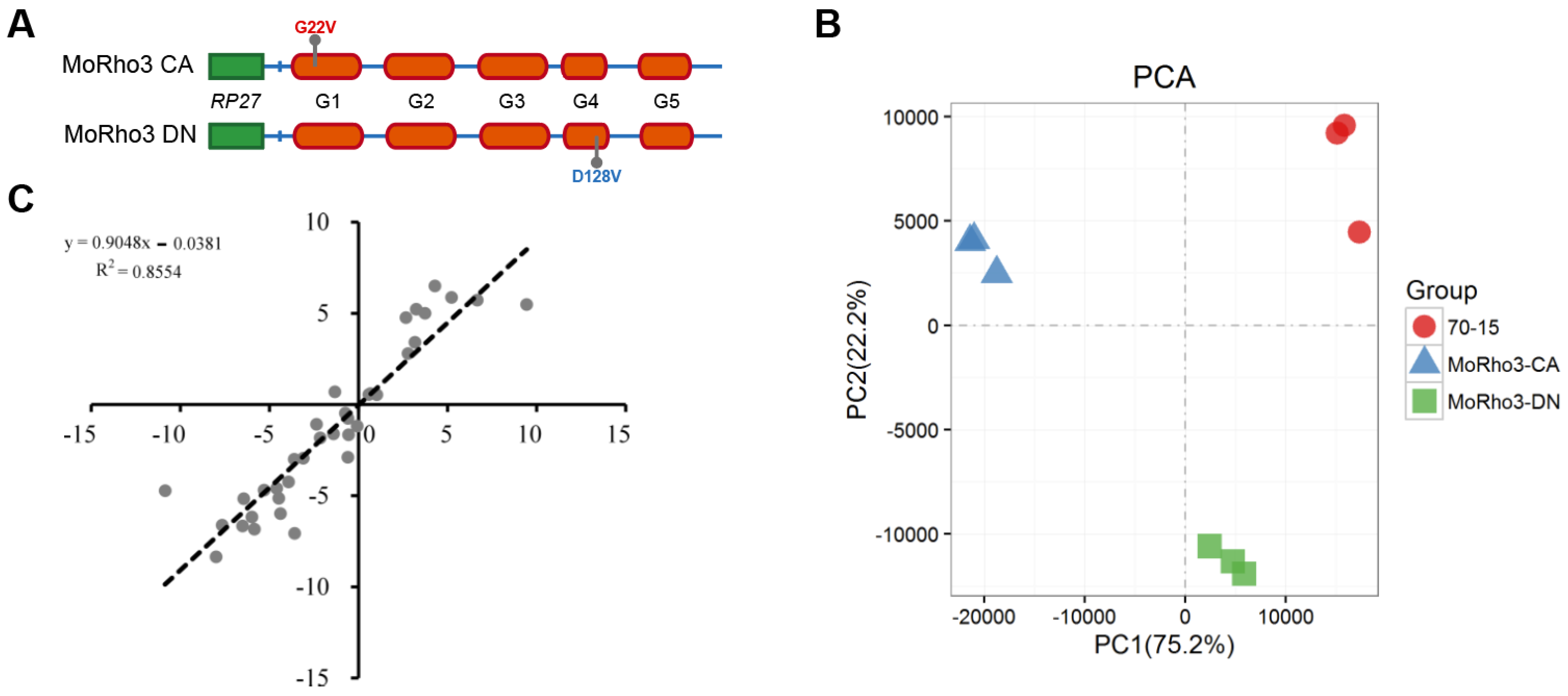 Jof 08 01060 g001 Jof 08 01060 g001