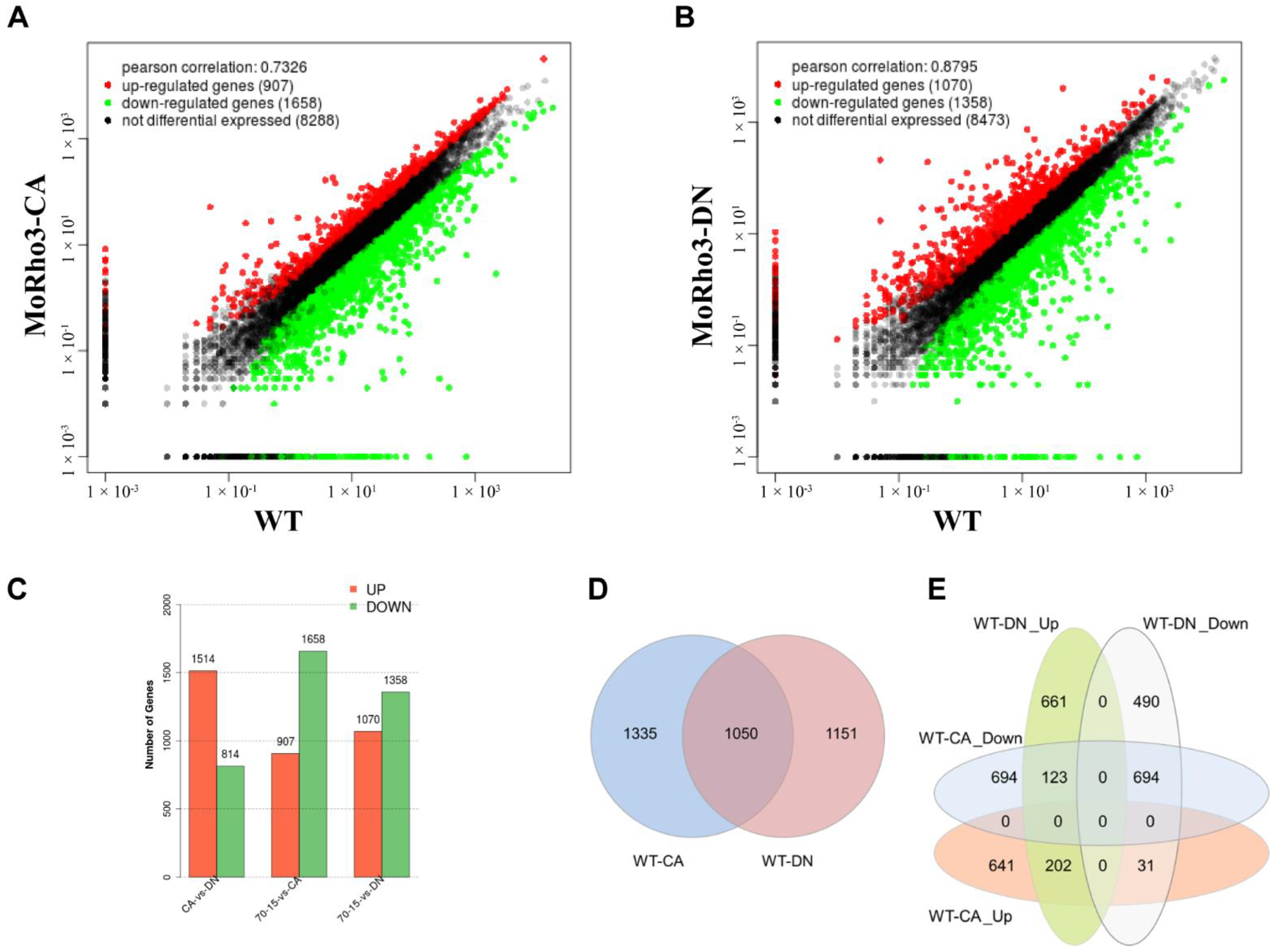 Jof 08 01060 g002 Jof 08 01060 g002