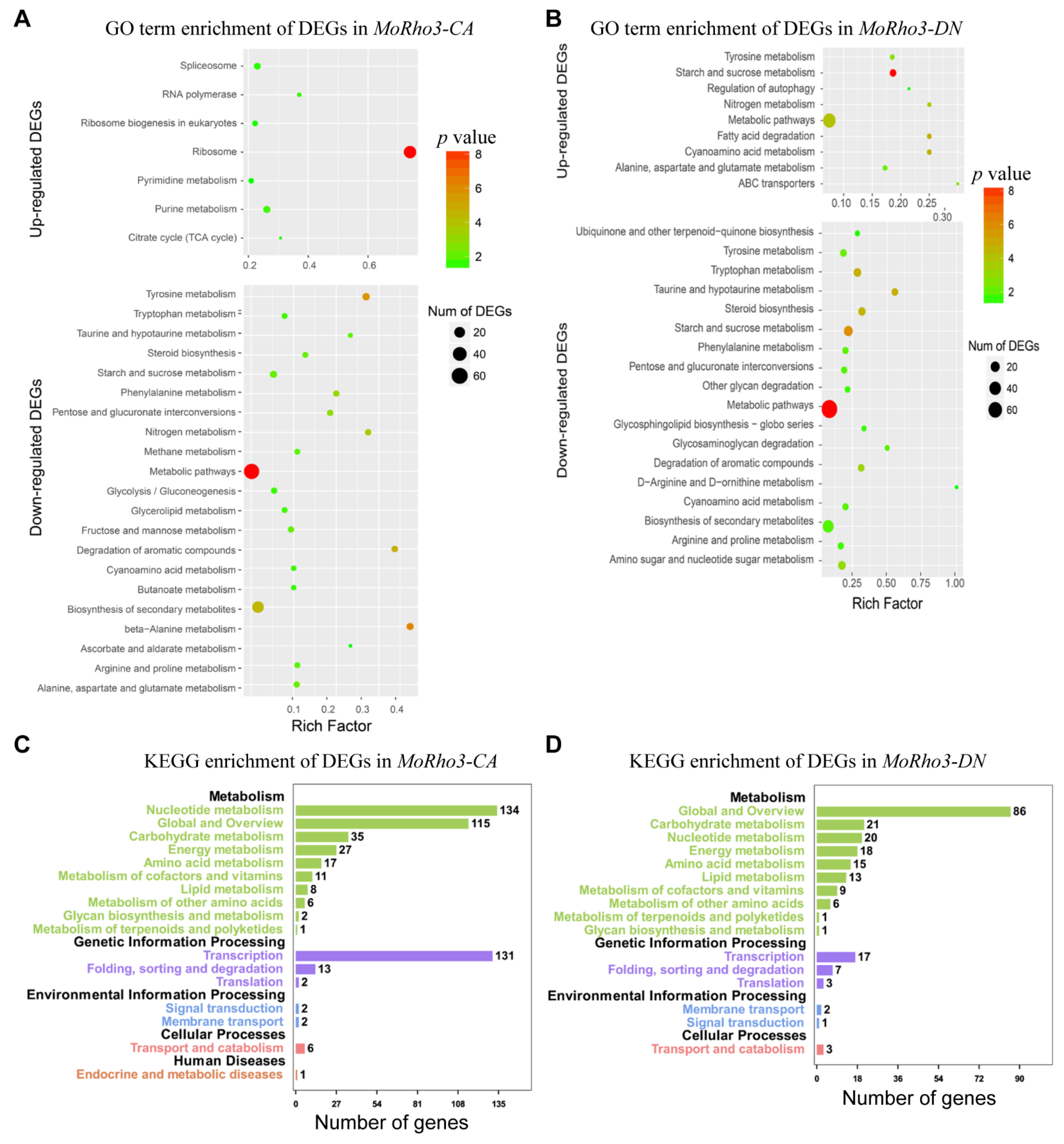 Jof 08 01060 g003 Jof 08 01060 g003