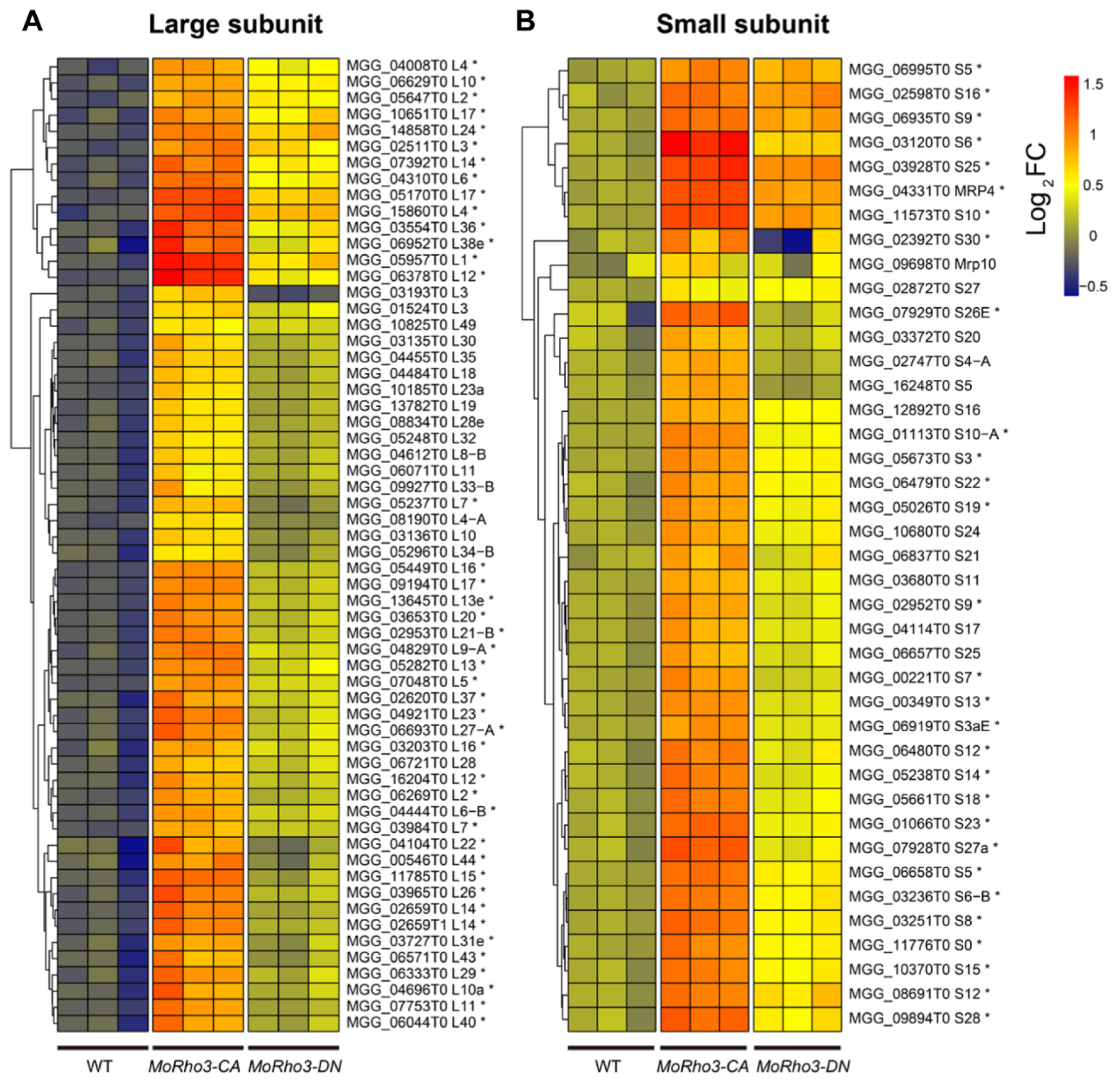 Jof 08 01060 g004 Jof 08 01060 g004