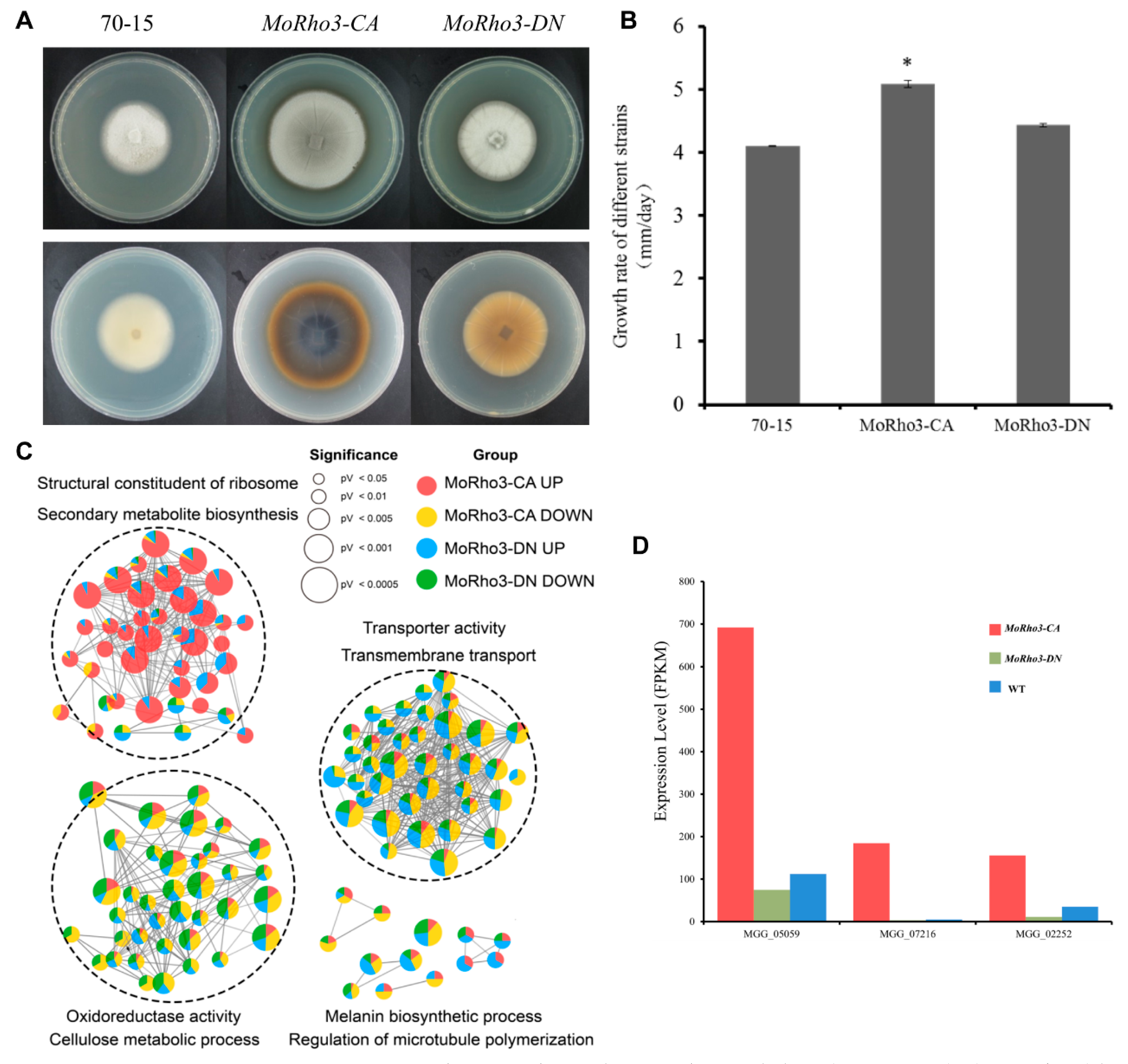 Jof 08 01060 g005 Jof 08 01060 g005