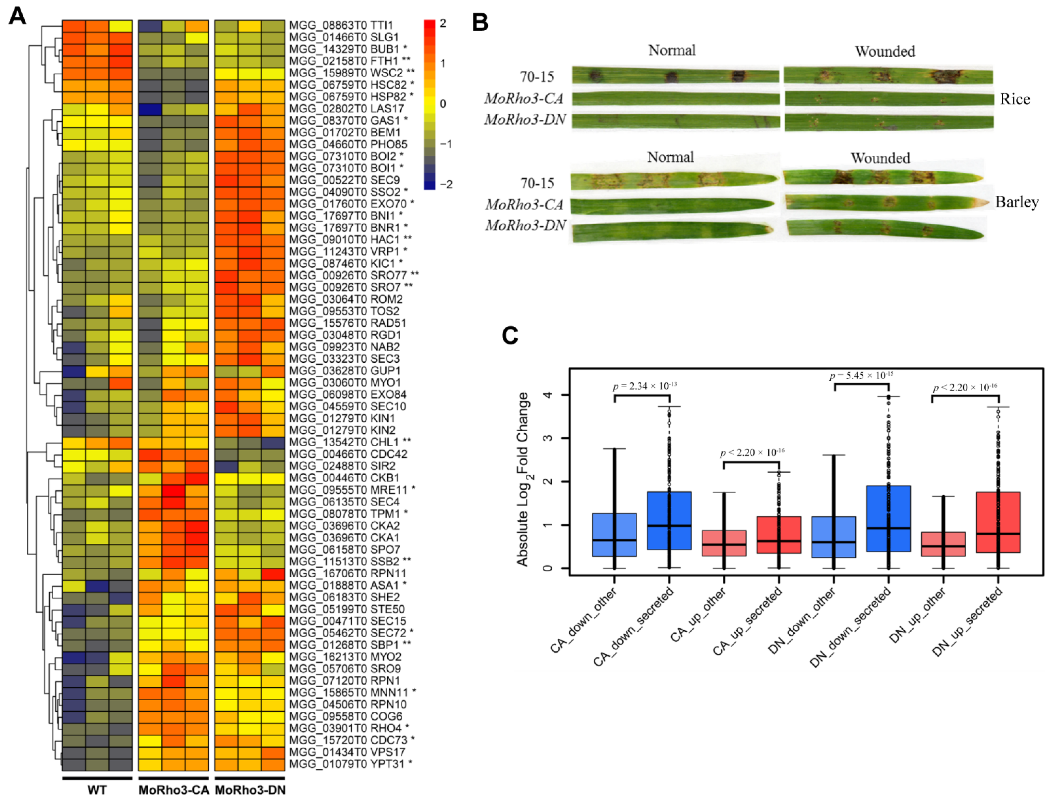 Jof 08 01060 g006 Jof 08 01060 g006