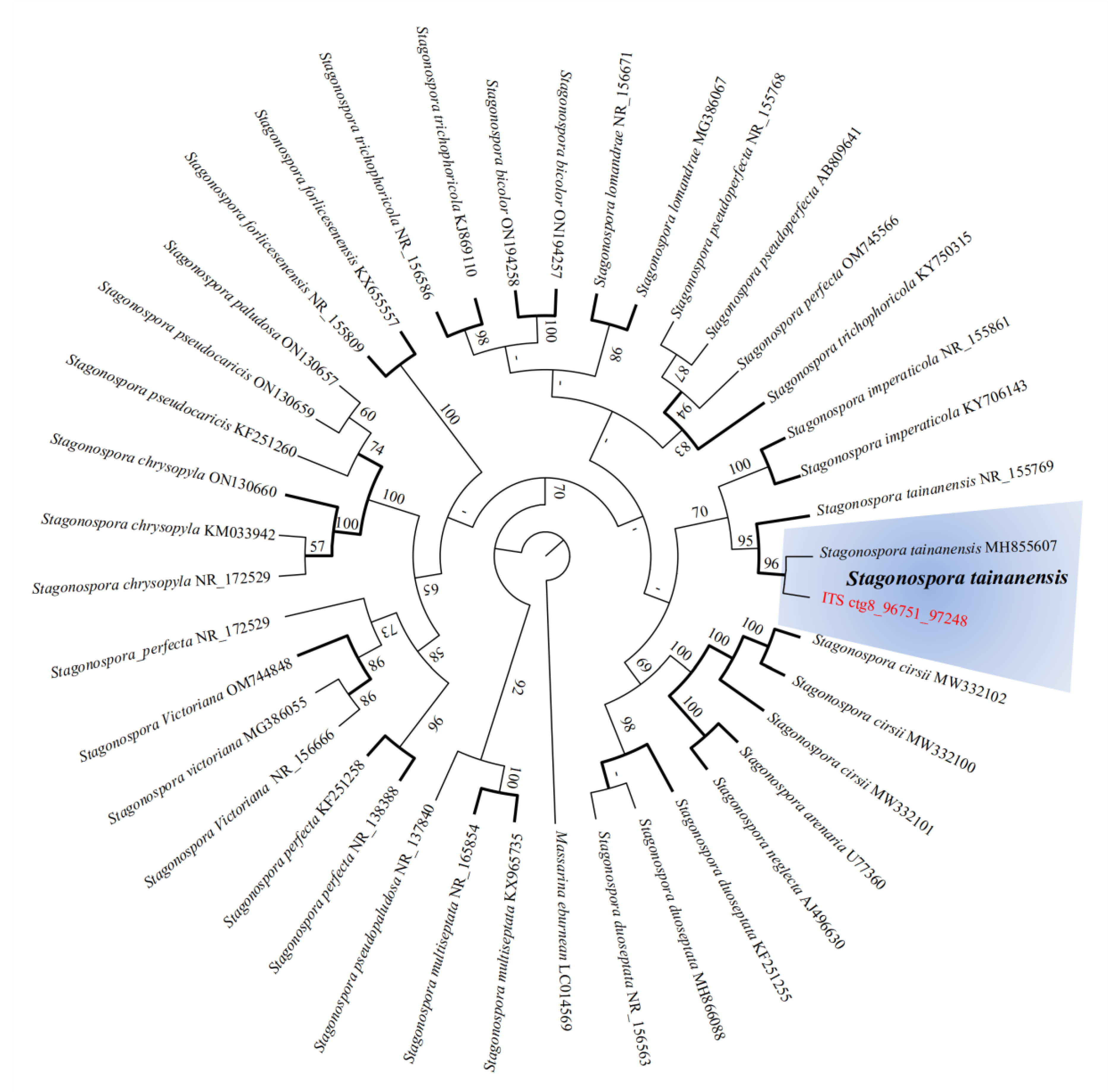 Jof 08 01088 g001 Jof 08 01088 g001