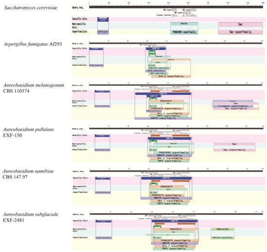 JoF | Free Full-Text | Transcription Factors in Aureobasidium spp ...