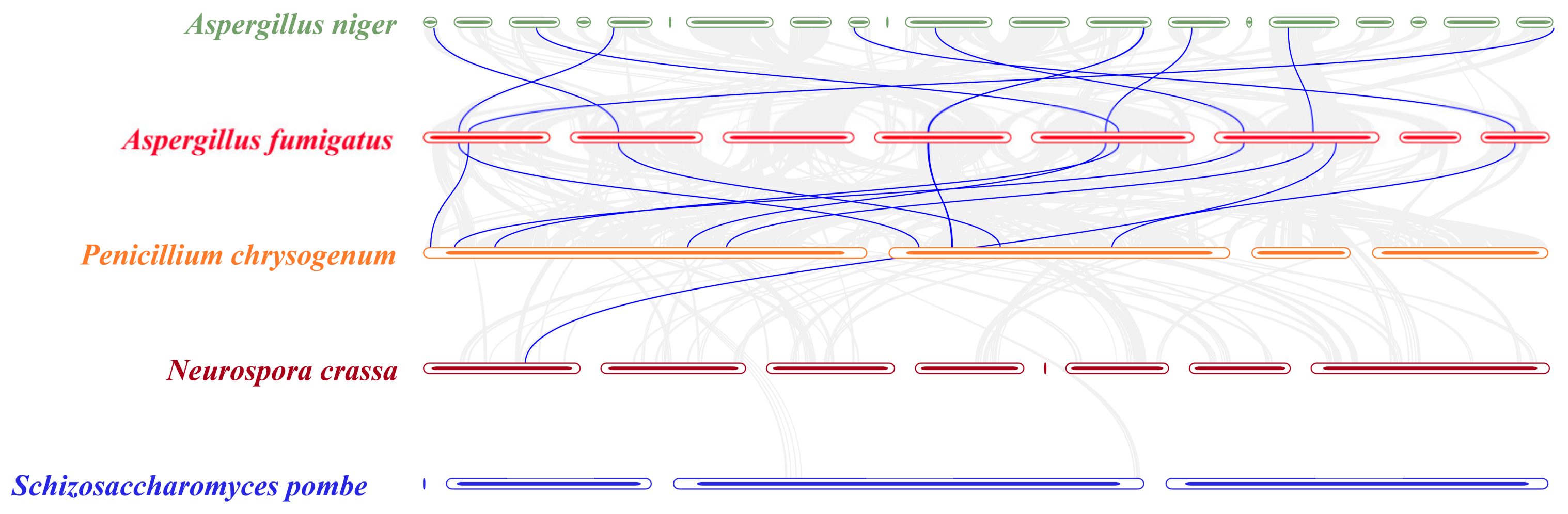 Jof 08 01159 g004 Jof 08 01159 g004