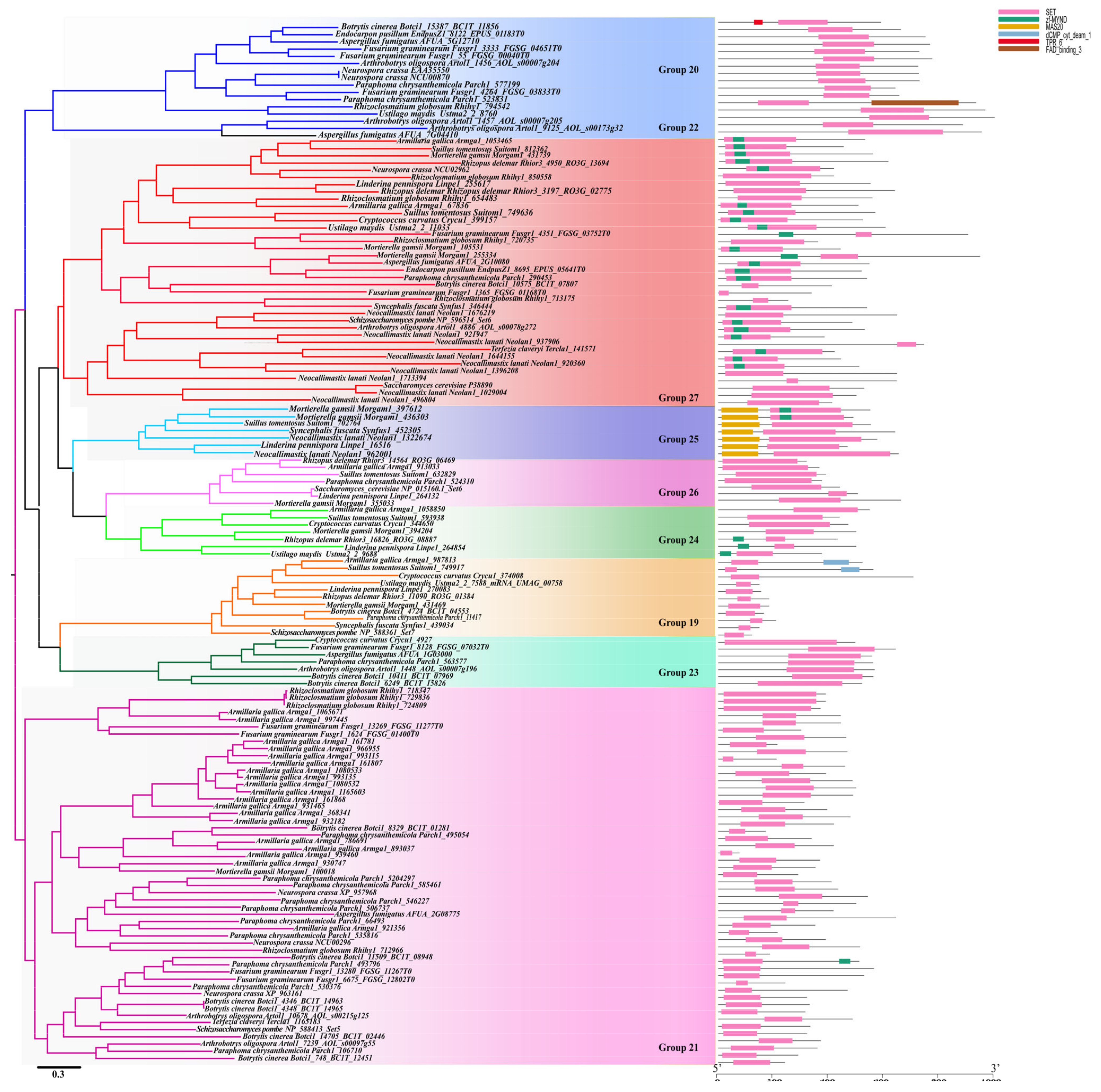 Jof 08 01159 g007 Jof 08 01159 g007