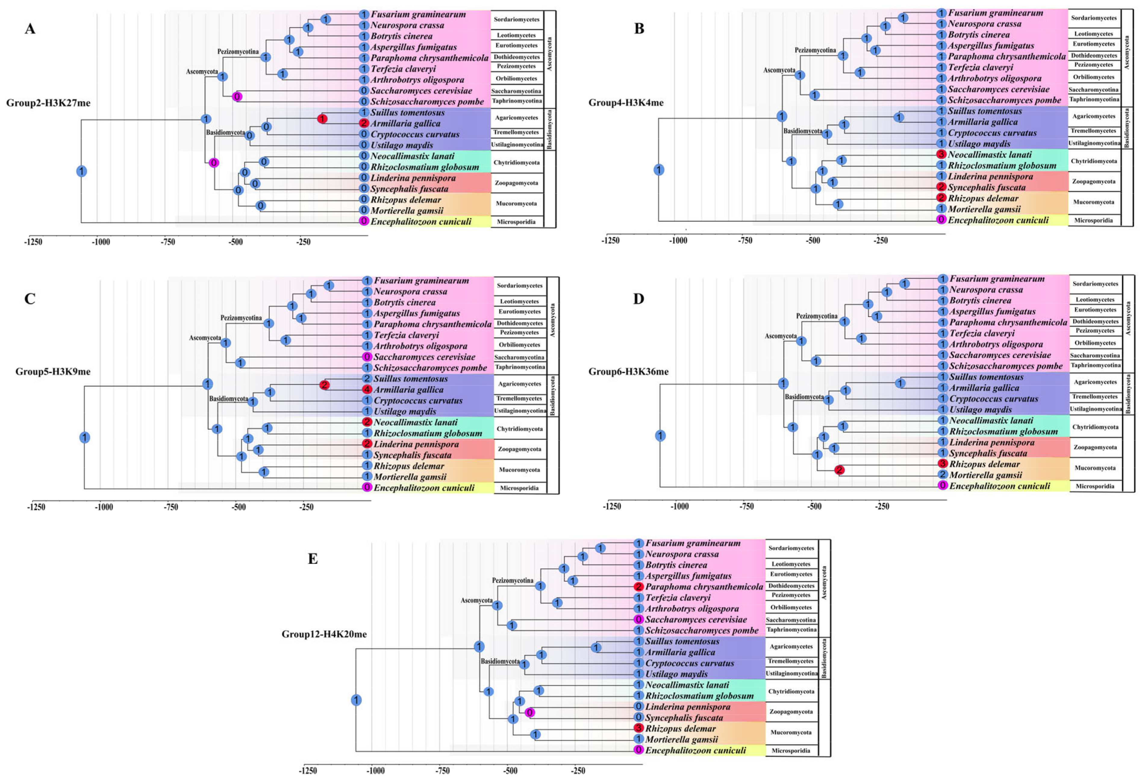 Jof 08 01159 g009 Jof 08 01159 g009