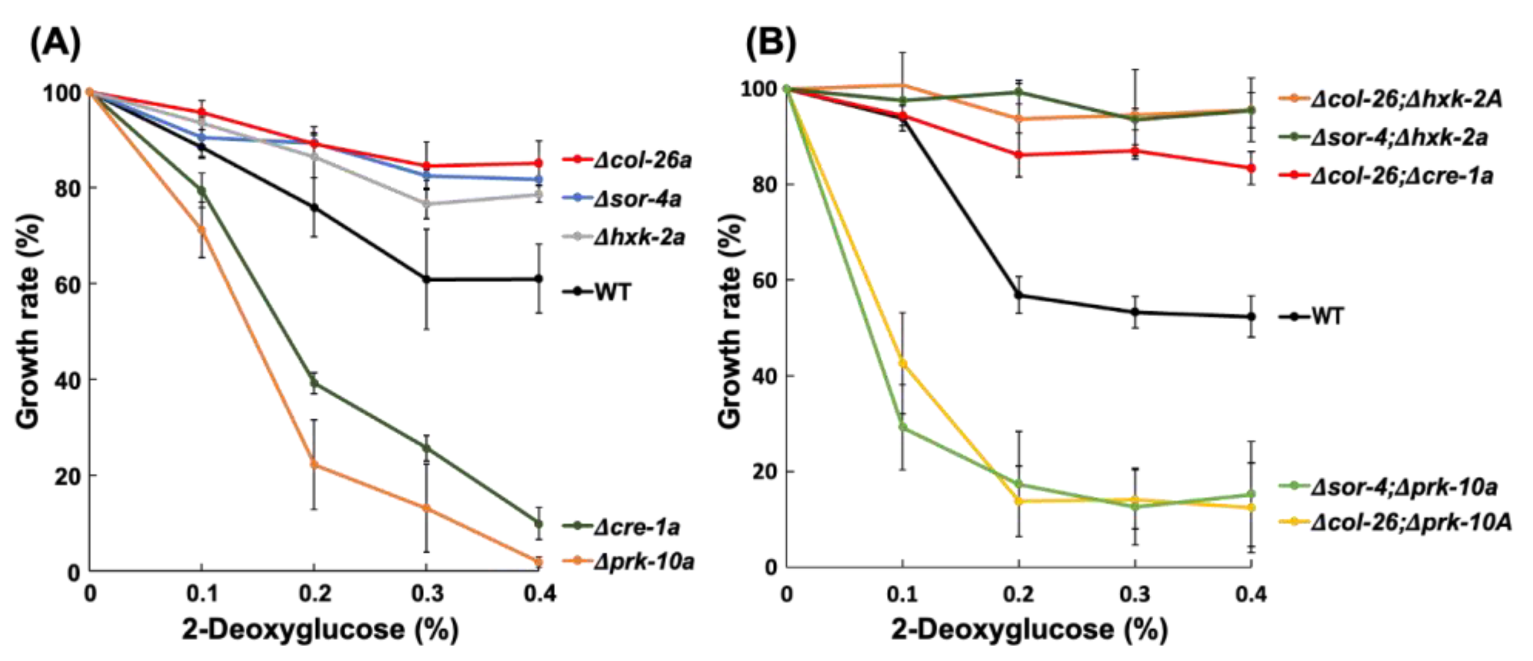Jof 08 01169 g003 Jof 08 01169 g003